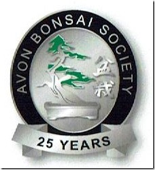 Avon Bonsai Society: December Meeting