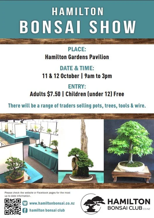 Hamilton Bonsai Show 2025