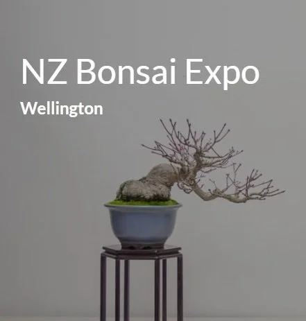 NZBA National Convention 2026 - Wellington