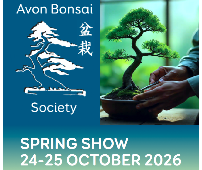 Avon Bonsai Society Spring Show