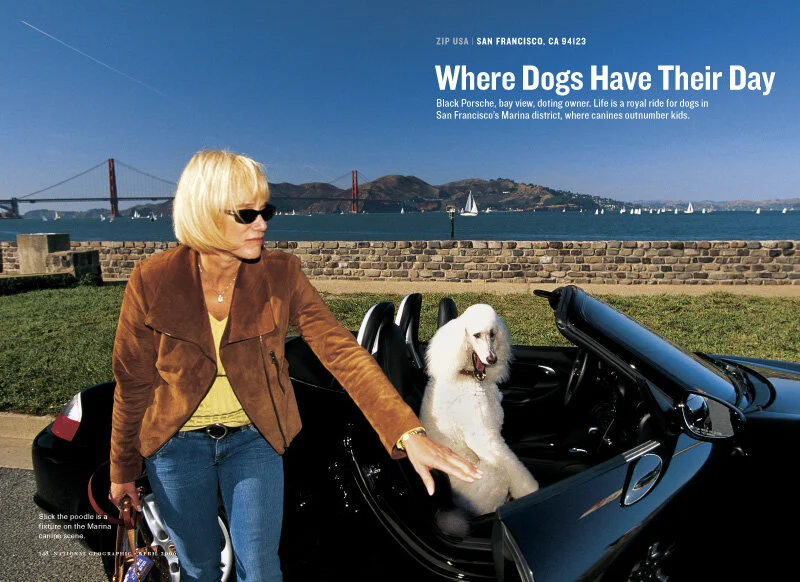 Catherine-Karnow-Published-3-Zip-USA-San-Francisco-Dogs.JPG