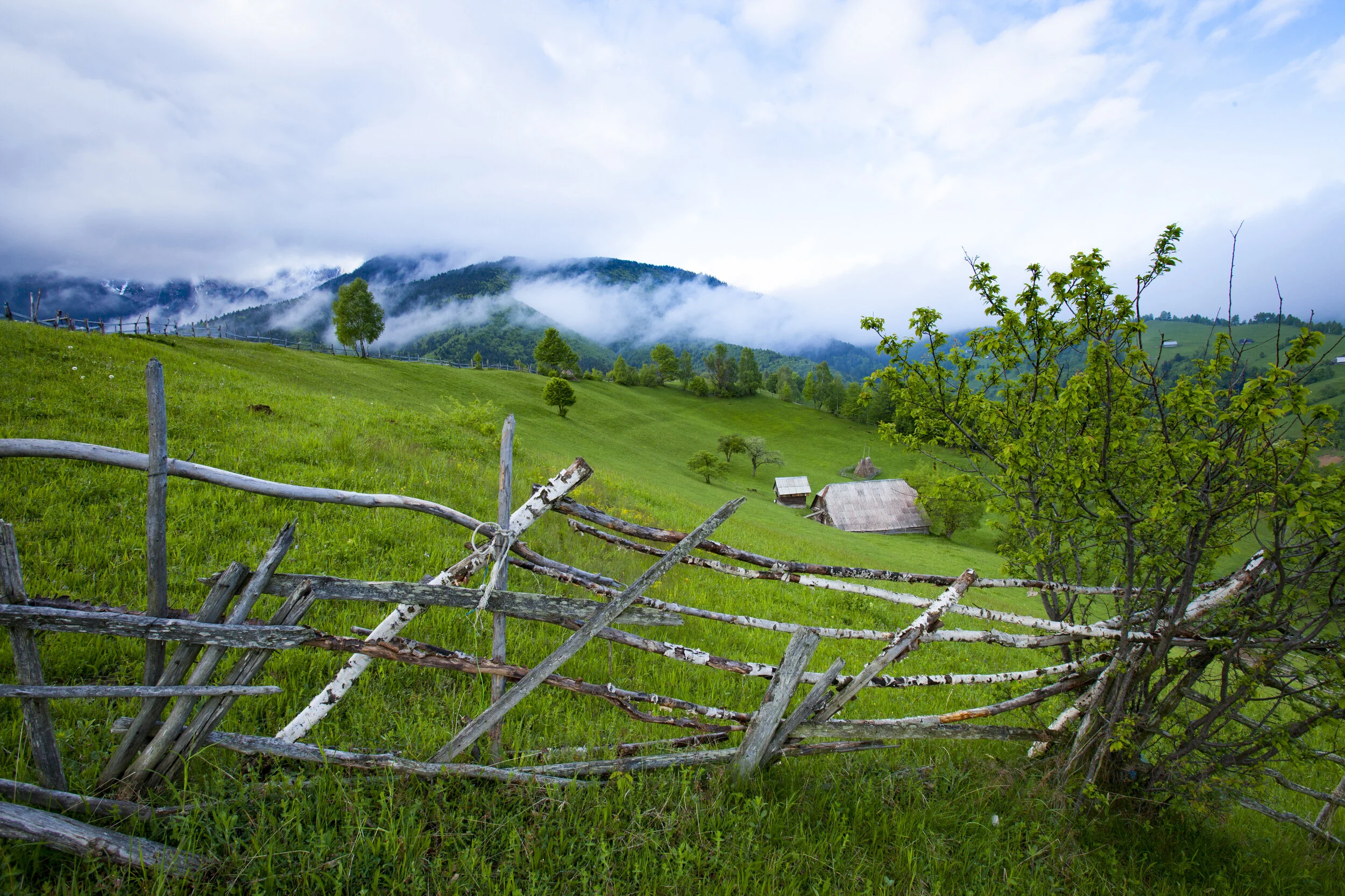 Select_Catherine-Karnow-Transylvania_3_MT5414_100519_02258.JPG.JPG