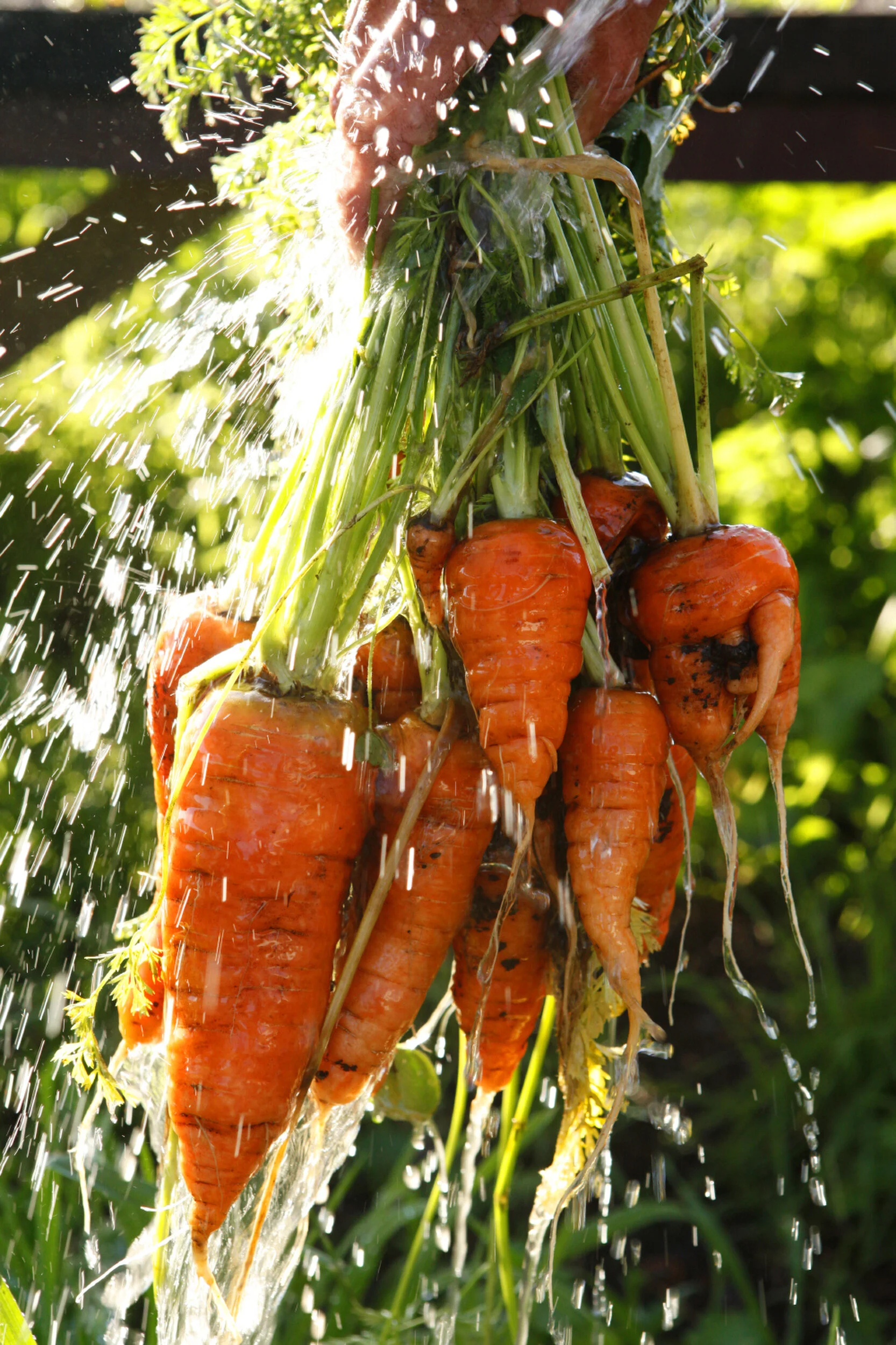 Select_Catherine-Karnow-California__MG_3608 2.JPG.JPG