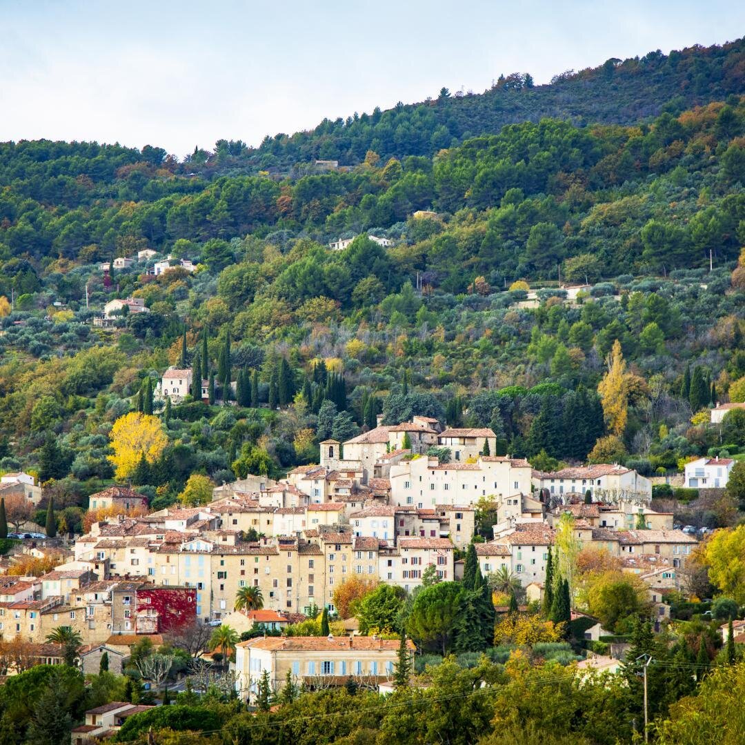 I never tire of photographing this lovely village of Seillans - this is more or less the view from our house. #perchedvillagesprovence #provence #hillvillage #prettiestvillages  https://catherinekarnowphotoworkshops.com/france-book