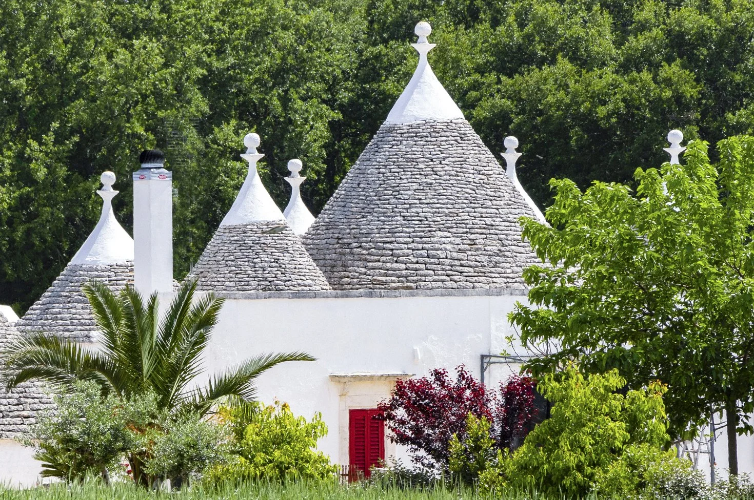 1_27_228_Puglia April-May_2024_2500_1500.JPG