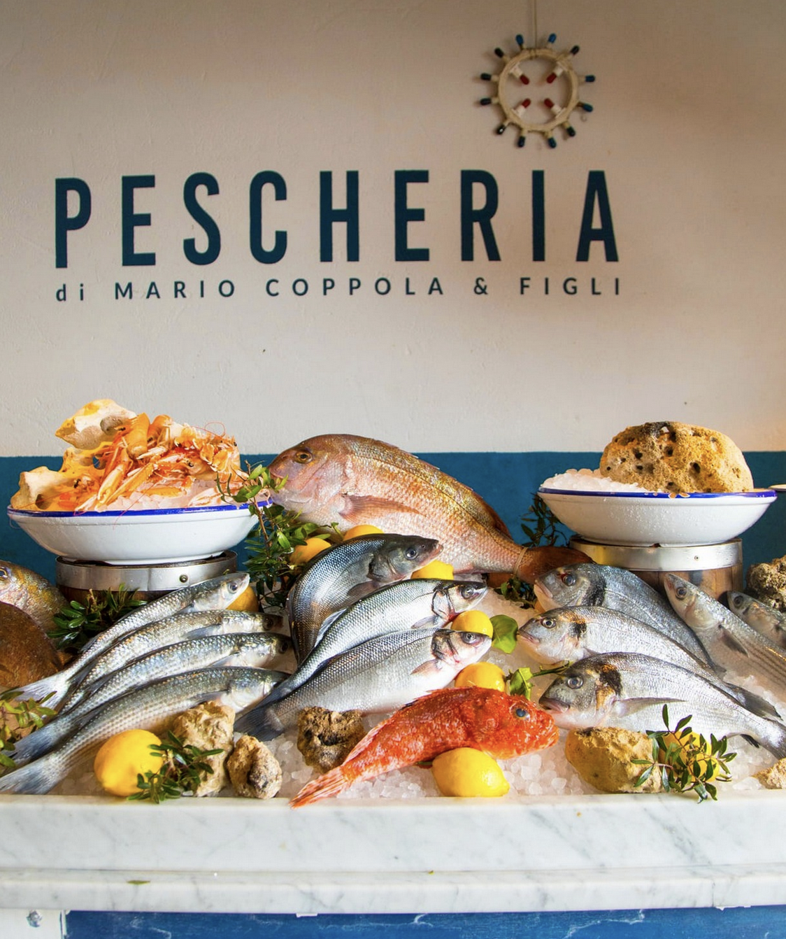 11_43_Screenshot 2025-03-17 at 21.50.31.PNG