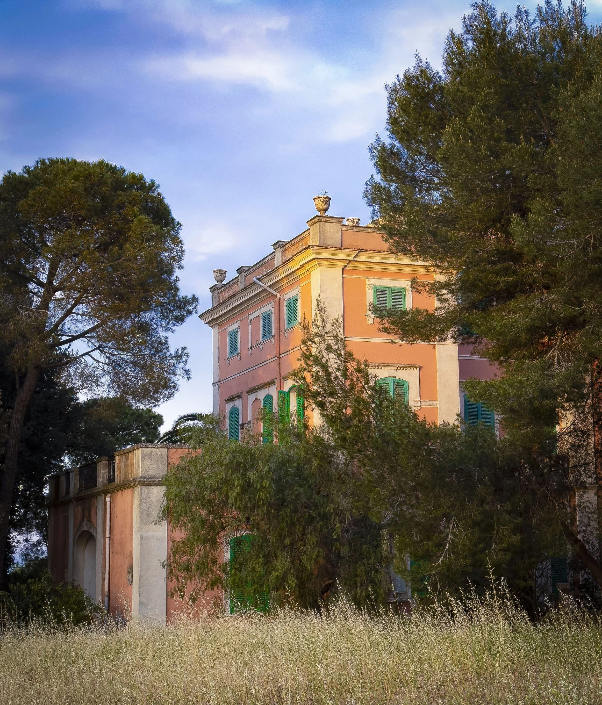 21_65_IMG_4294 copy.JPG