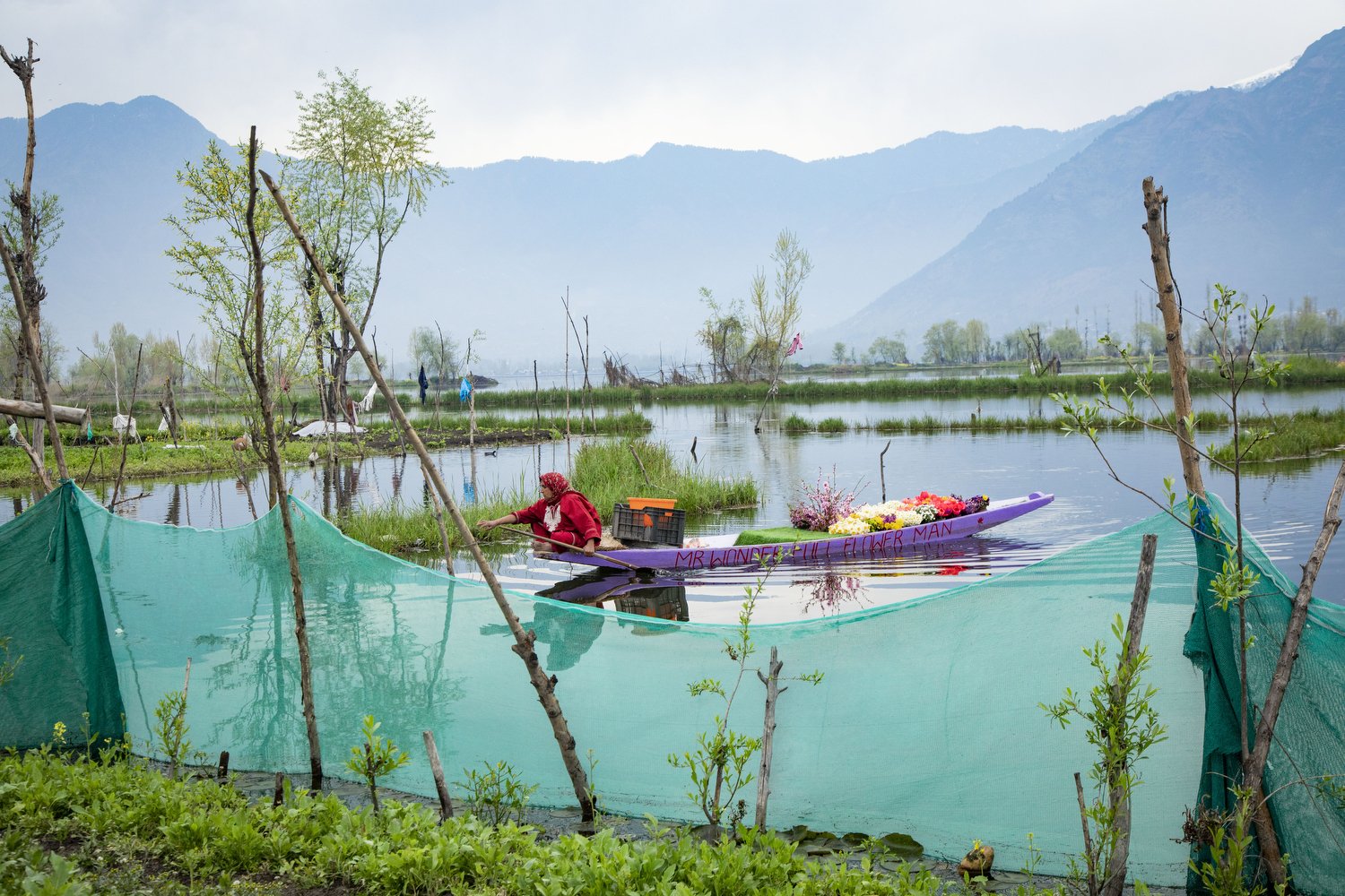 Kashmir_March-April_2024_8470.CR2 copy.JPG