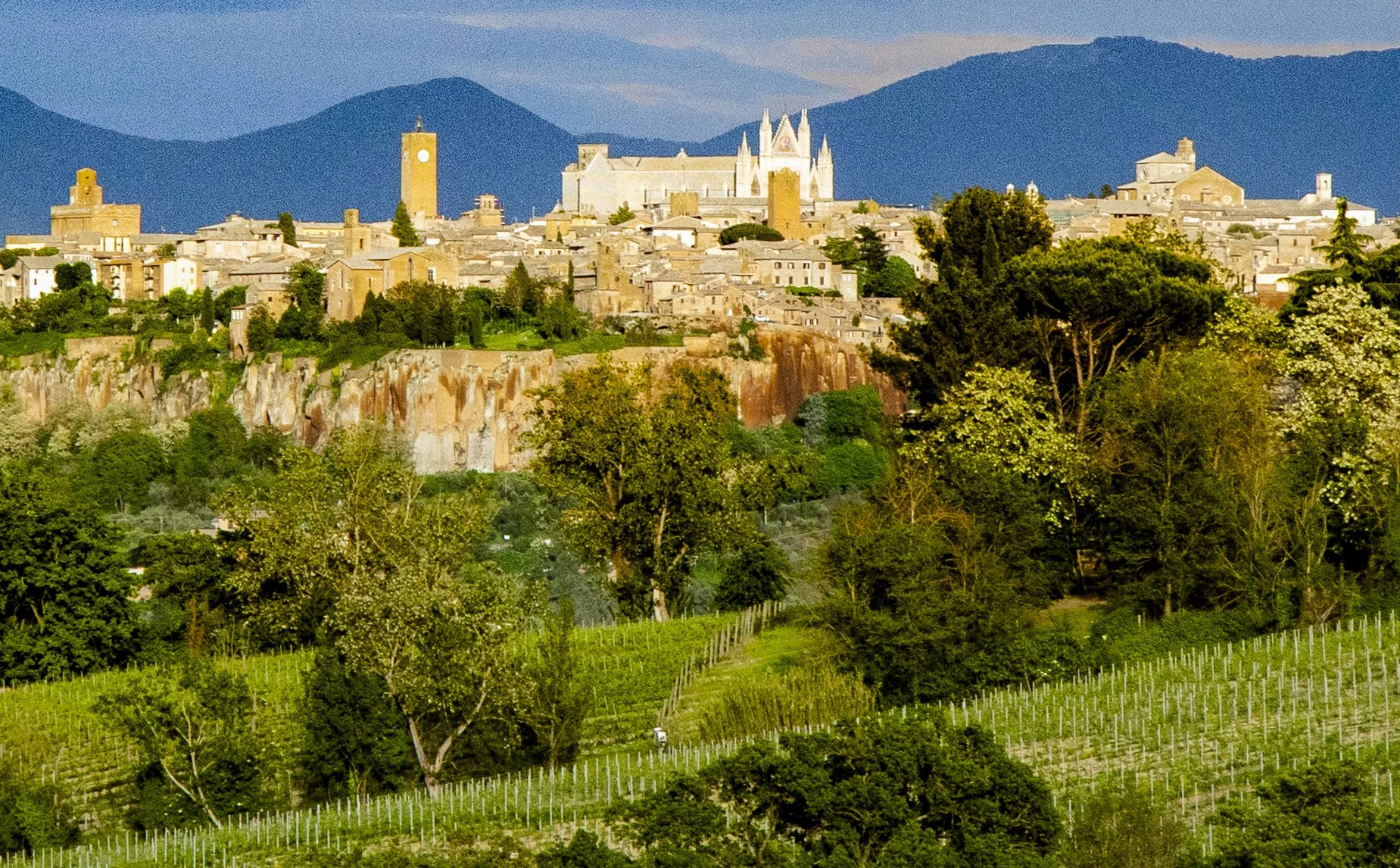 Umbria_2019_3411_crop3.jpg