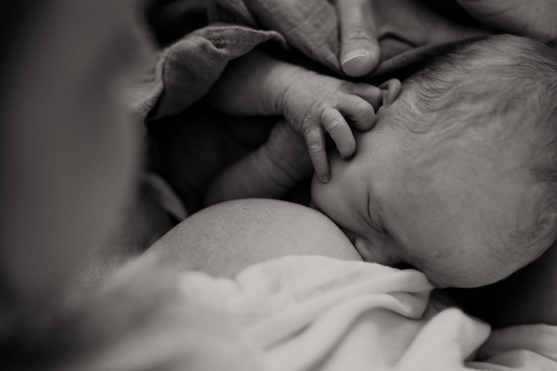 manly-newborn-photographer-007.jpg