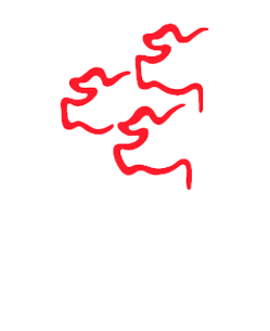 Asociacion-colombiana-de-porcicultores.png