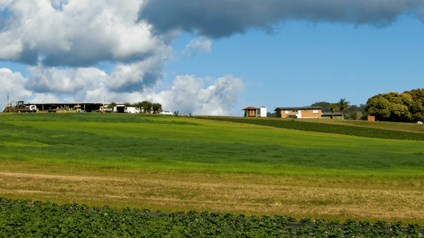 Considerations When Buying Rural Property in QLD — Bradley & Bray