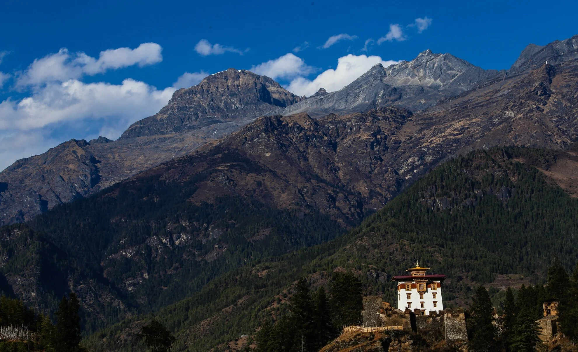 QCT Paro1 (6)-2.JPG