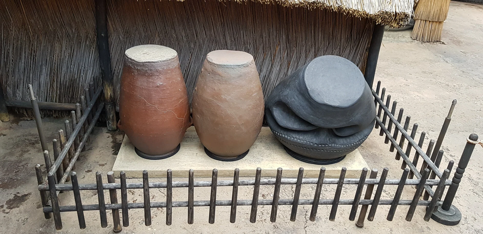 20170926_171934.JPG