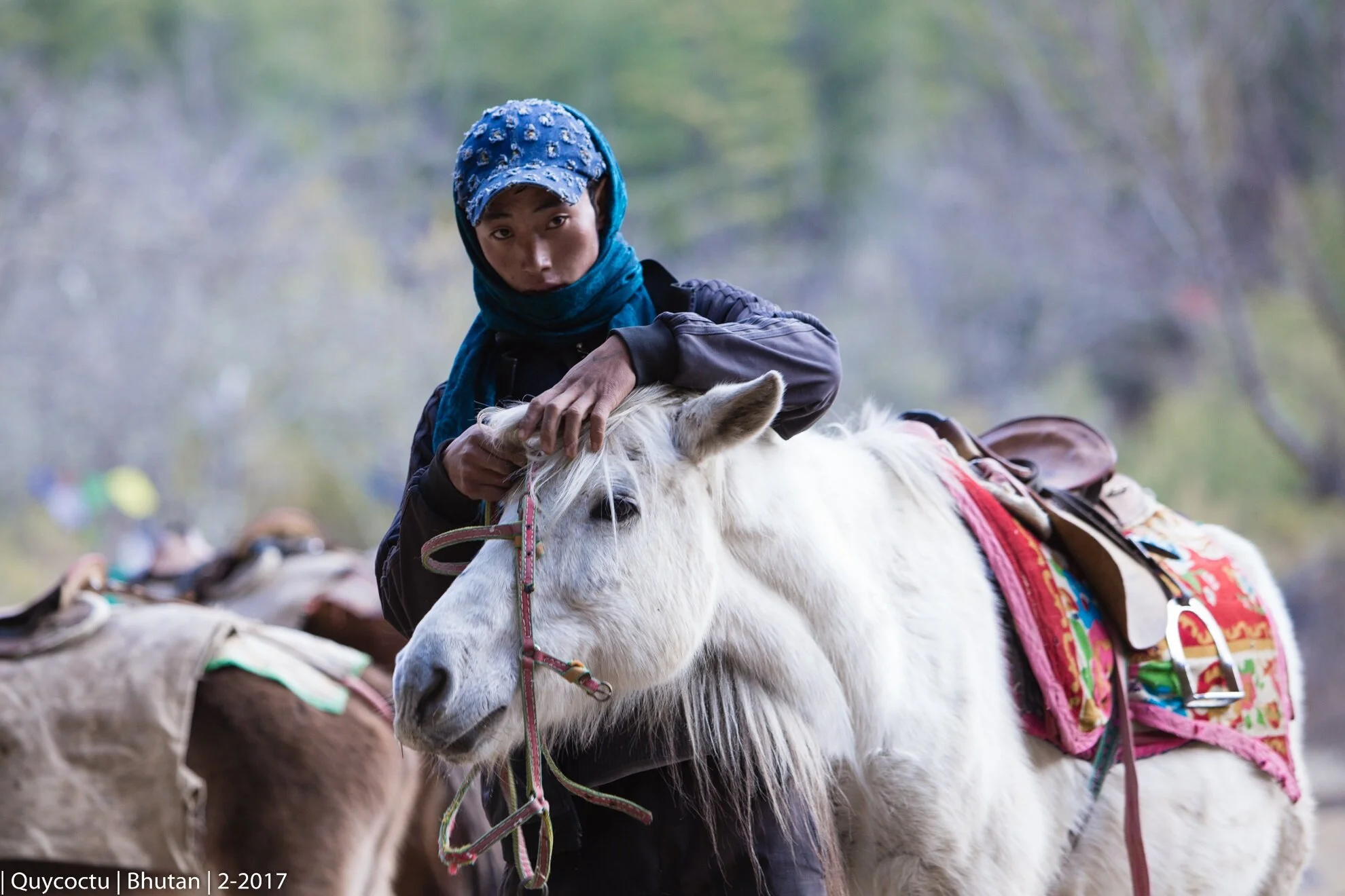 tigernest 2 (30).JPG