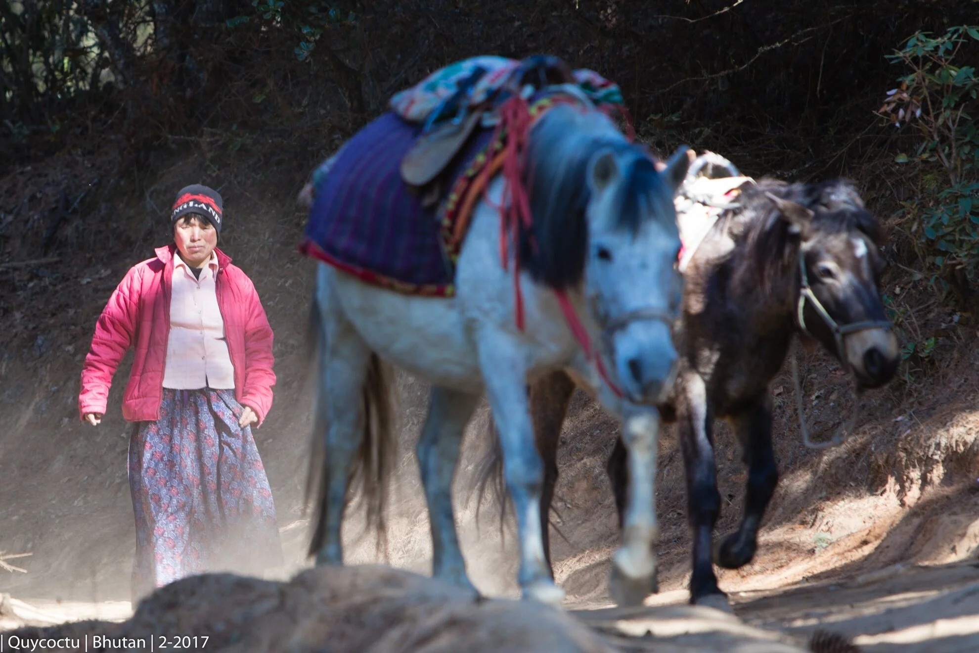 tigernest 2 (15).JPG