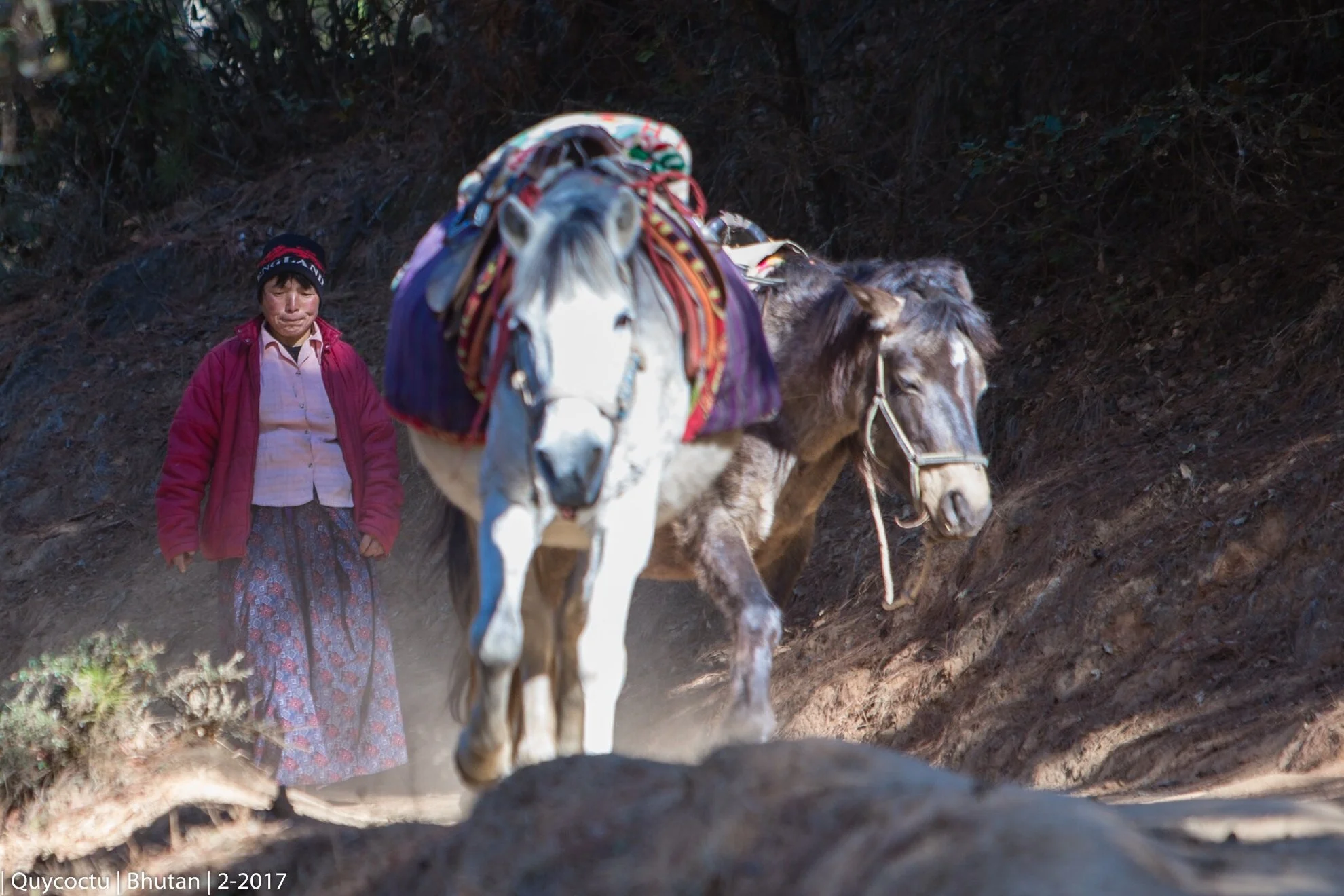 tigernest 2 (16).JPG