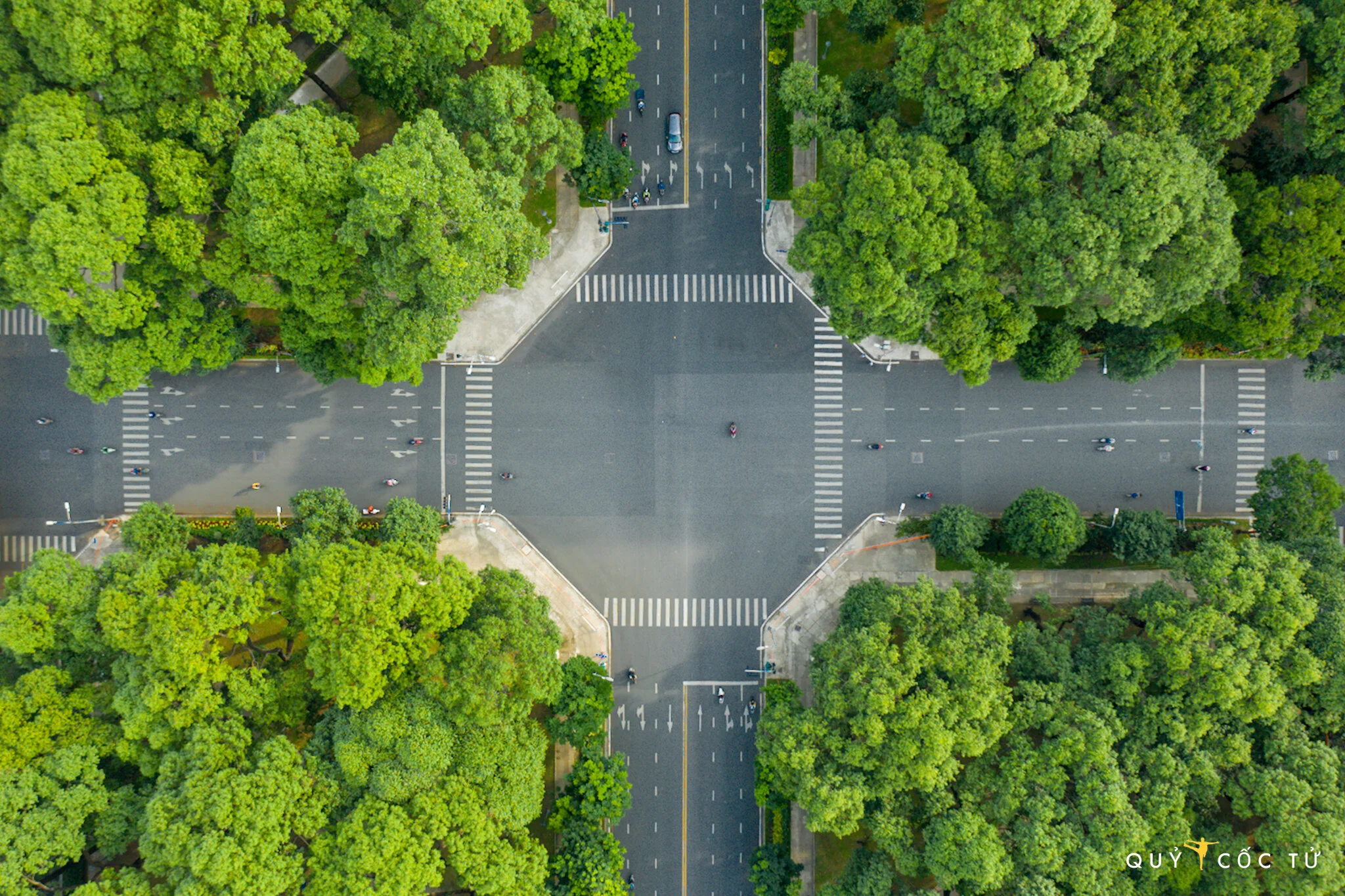 DJI_0801.jpg