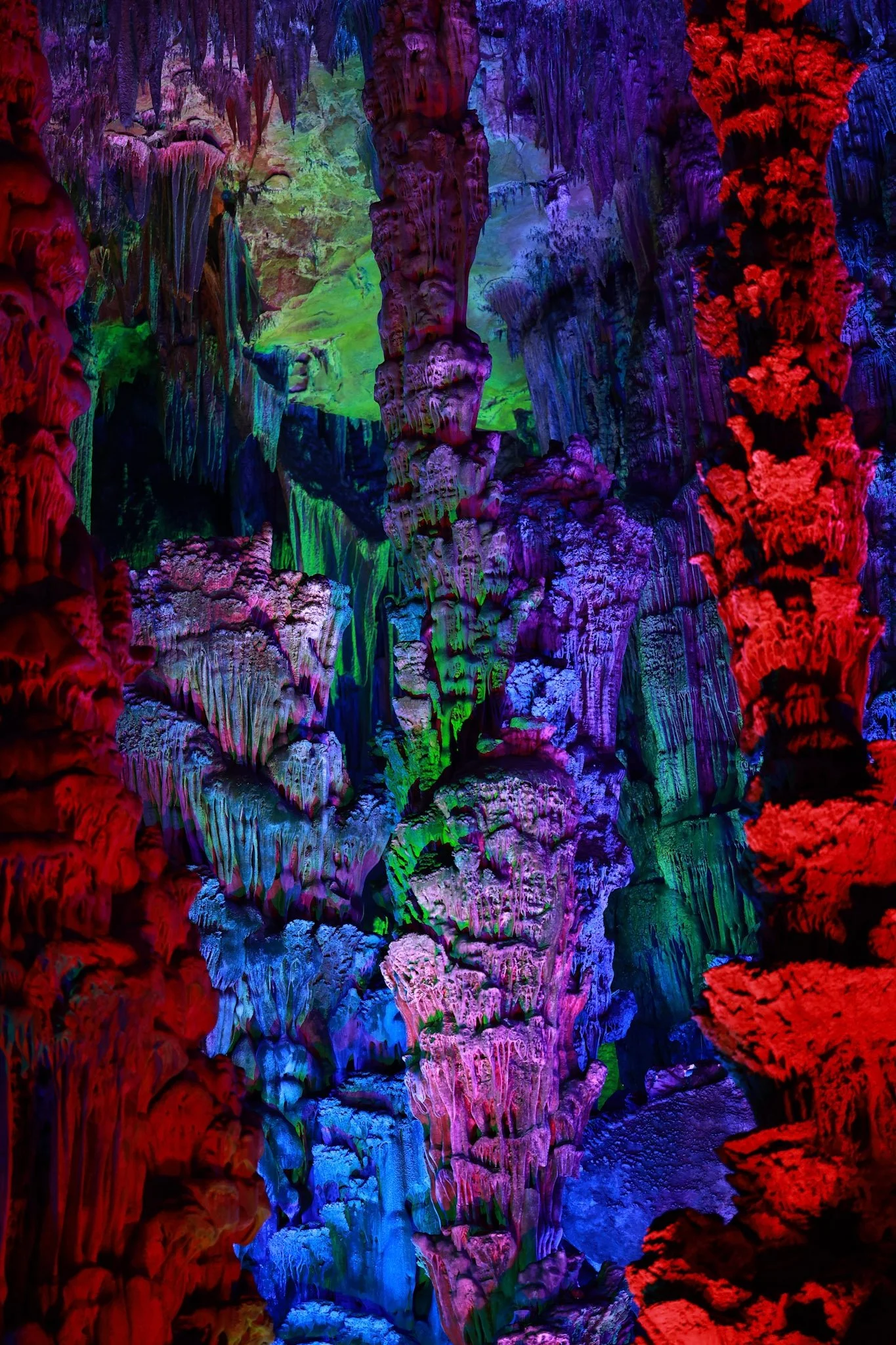 0A0A1185.jpg