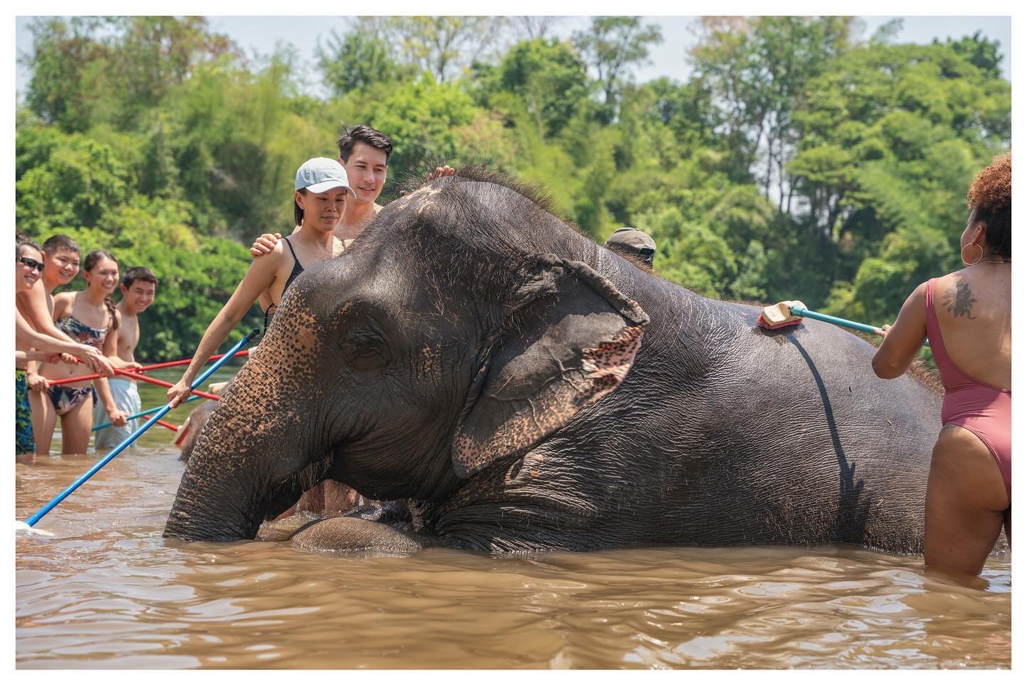 Elephant Kat quietly eats some freshly cut grass while a Spanish tourist grabs her trunk to take a selfie with her. The 52-year-old Asian elephant meekly allows everything to happen. &ldquo;After all this tasty food, it is now time for her bath,&rdqu