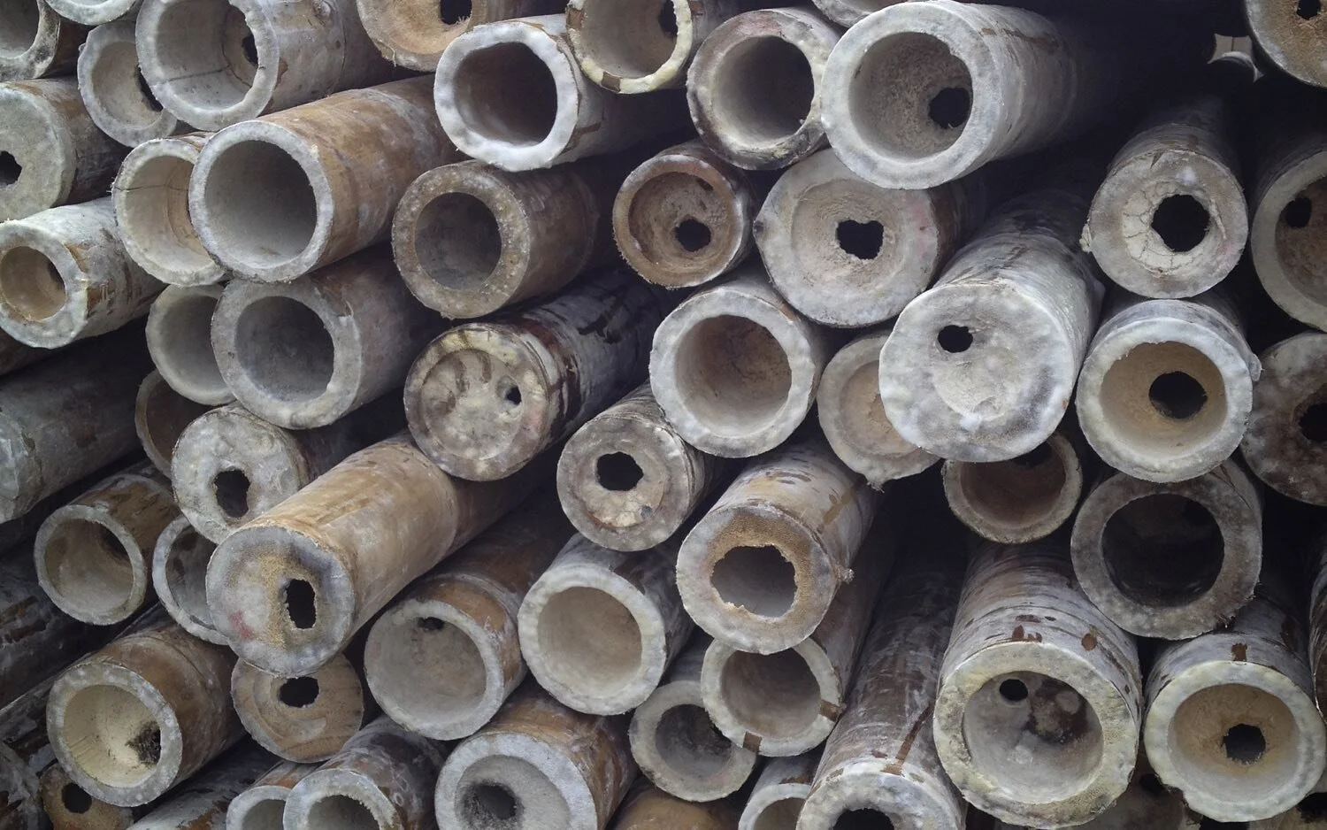 Bamboo Preservation — Guadua Bamboo