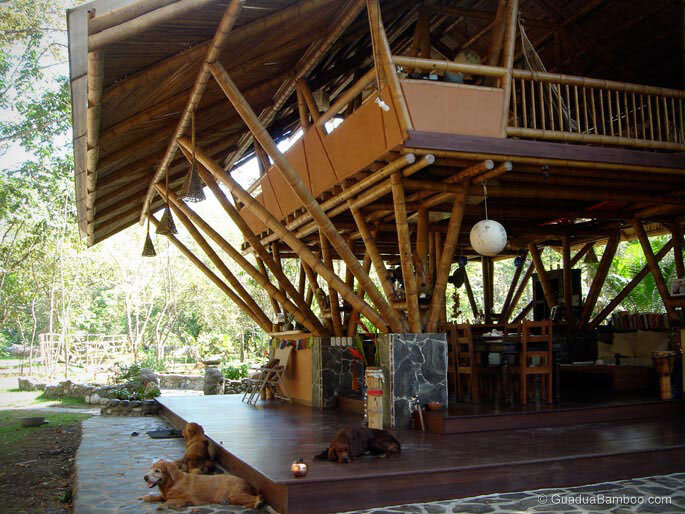 The Reality About Building With Bamboo Guadua Bamboo