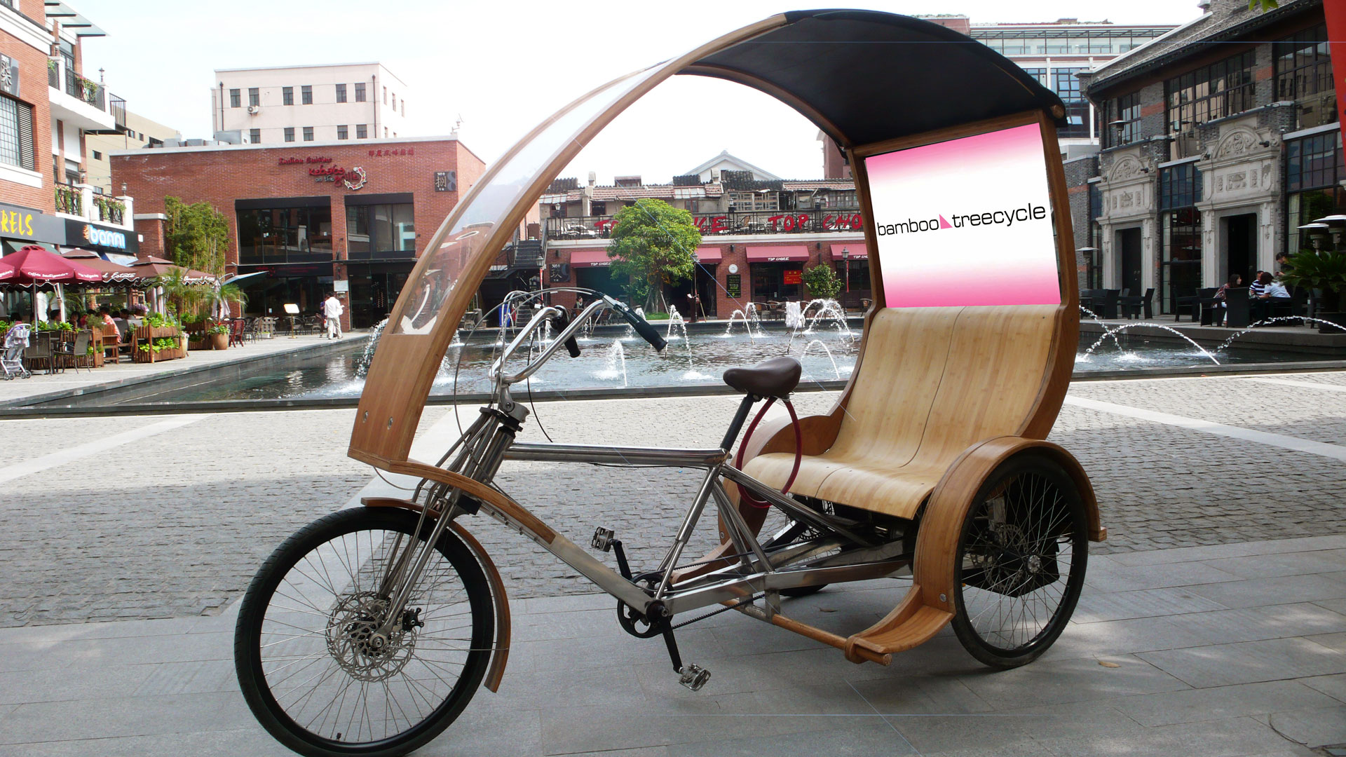 Electric Powered Bamboo Tricycle