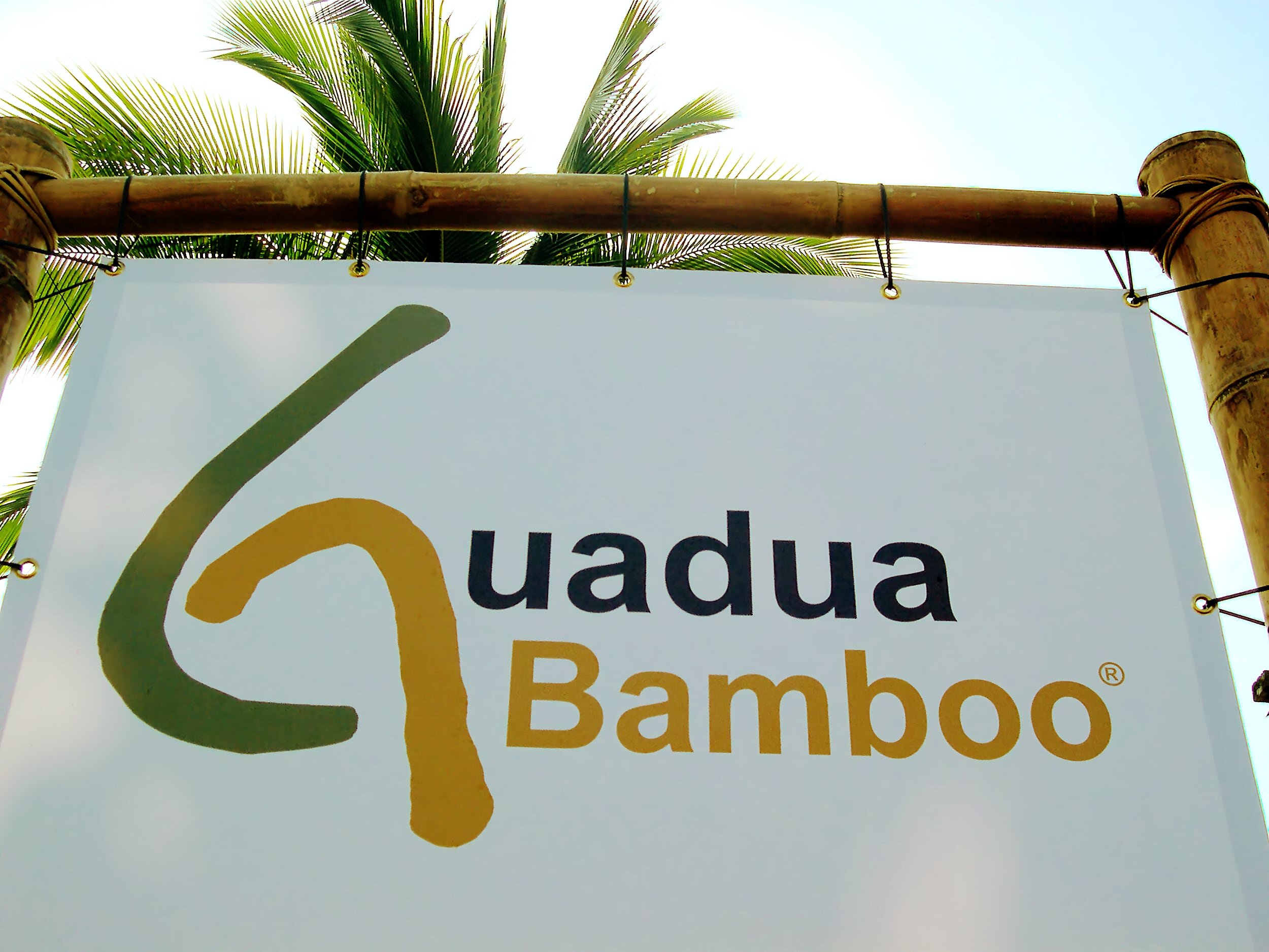 guadua-bamboo-street-banner.jpg