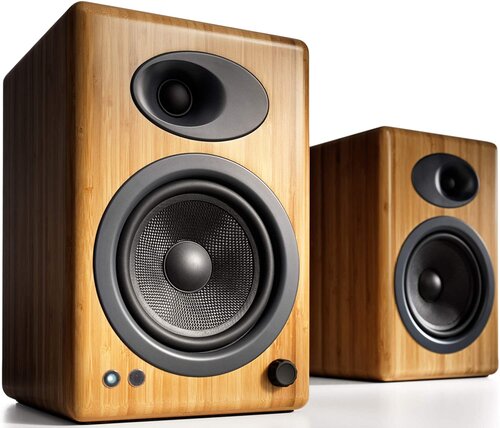 Bamboo Speakers