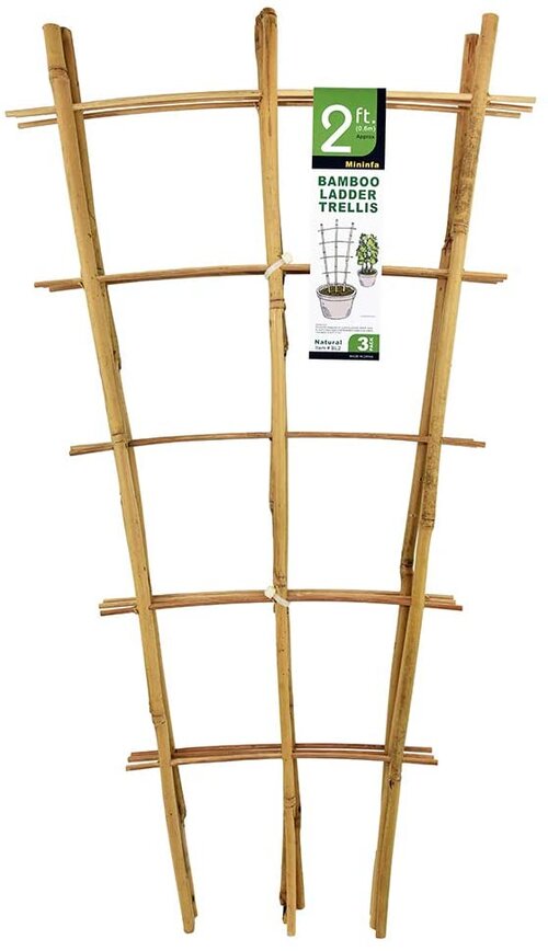 Bamboo Trellis