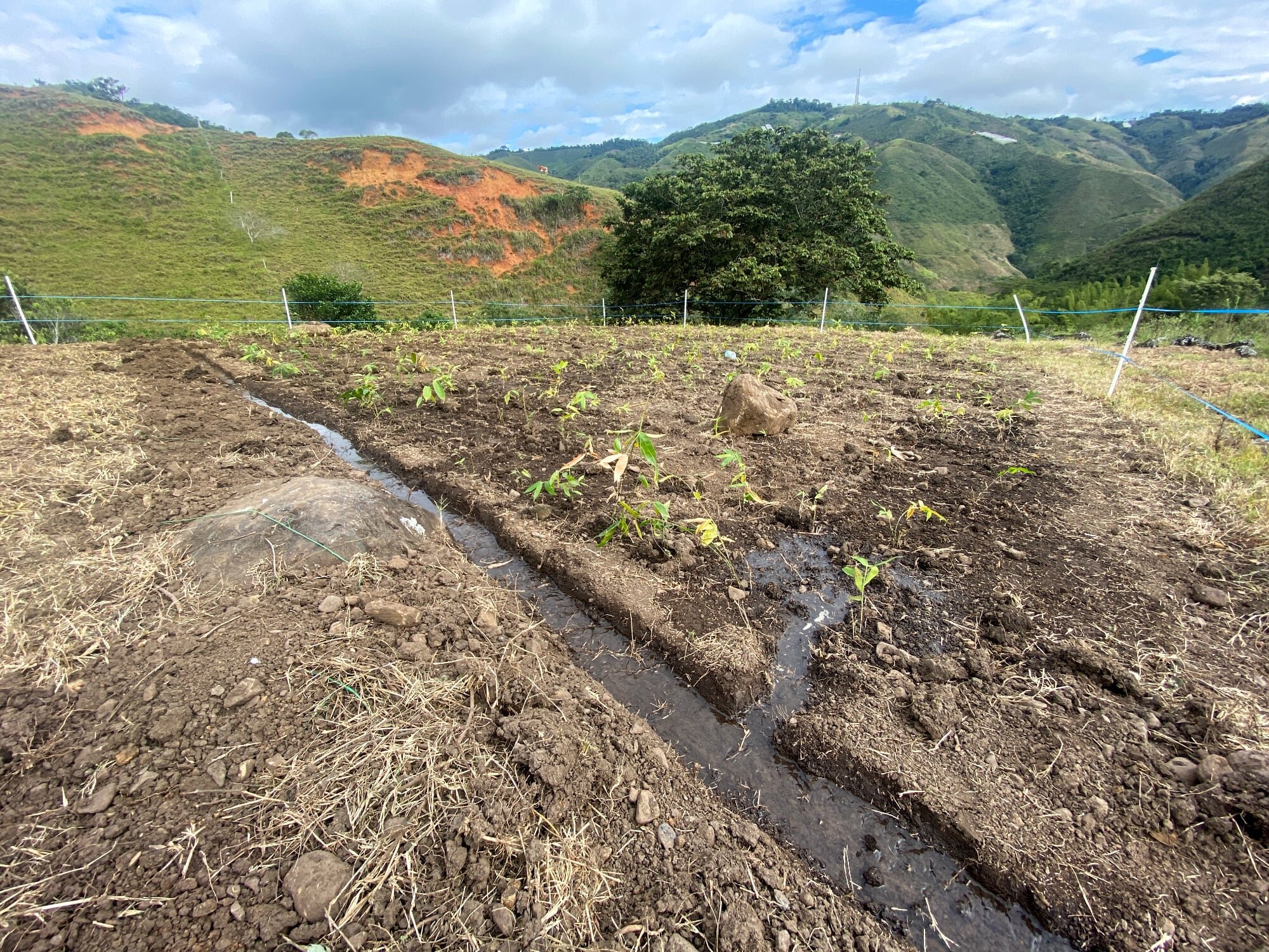 土壤灌溉