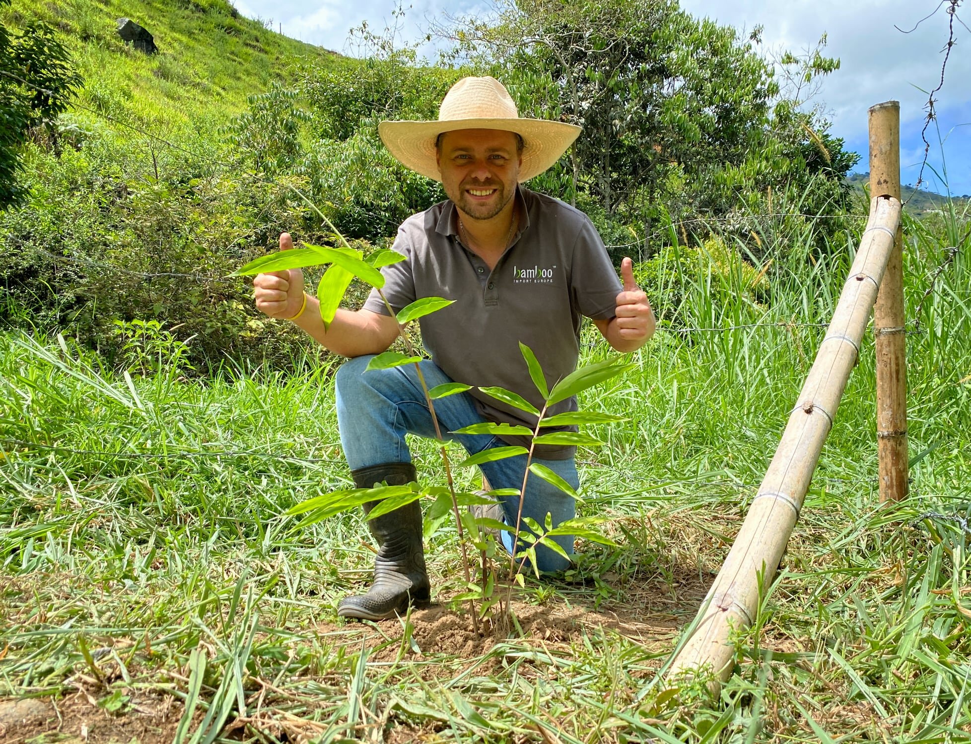 Bamboo Import Europe, the First Company to Adopt a Bamboo in Colombia!