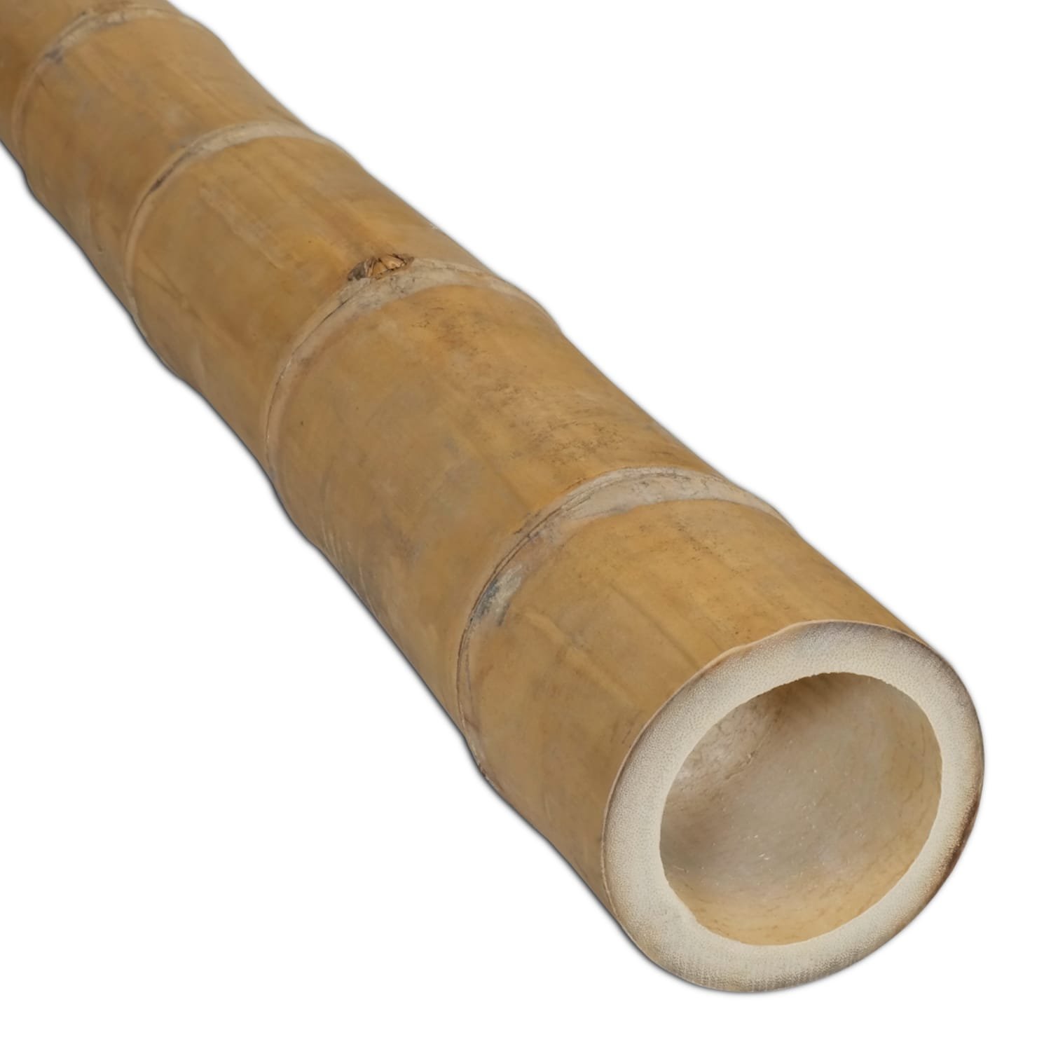 The Best Bamboo — Bamboo Poles for Sale — Analyzing the Physical and  Mechanical Properties of Moso vs Guadua Bamboo