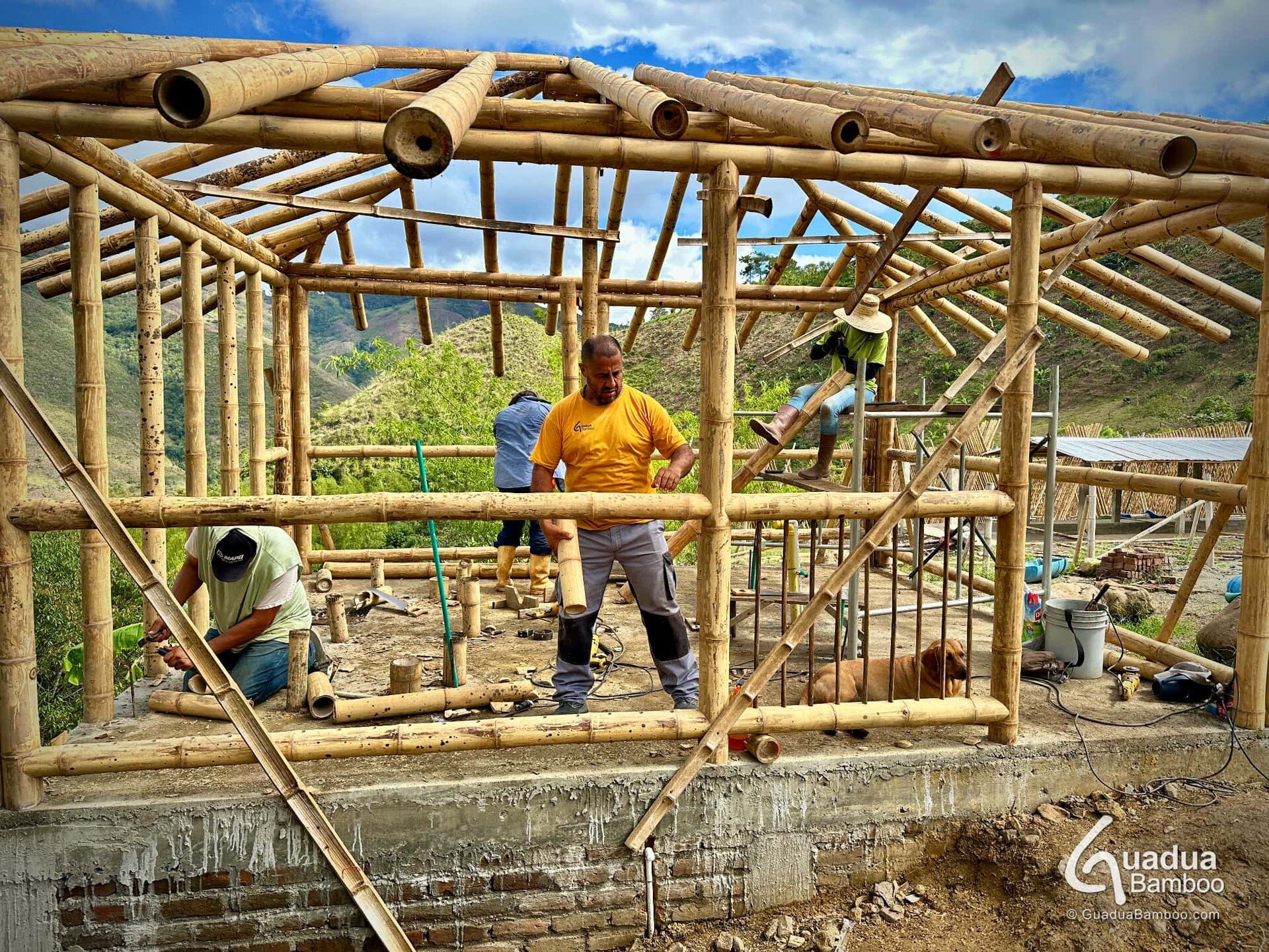 Guadua Bamboo sanitary infrastructure under construction.