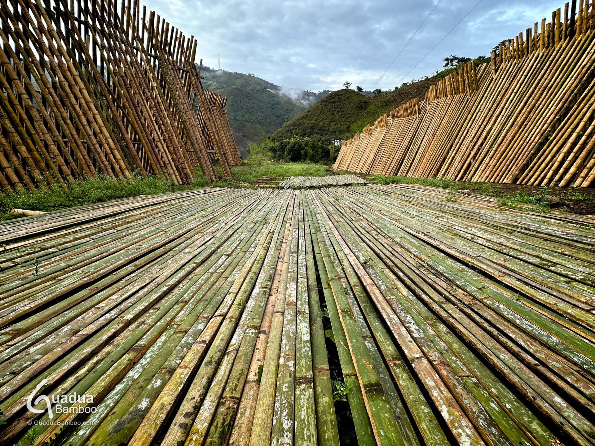 Perfectly straight 40 mm wide x 6 m long Guadua Bamboo&reg; Slats in production now. The applications for these bamboo strips are endless.
More info: https://www.guaduabamboo.com/bamboo-slats