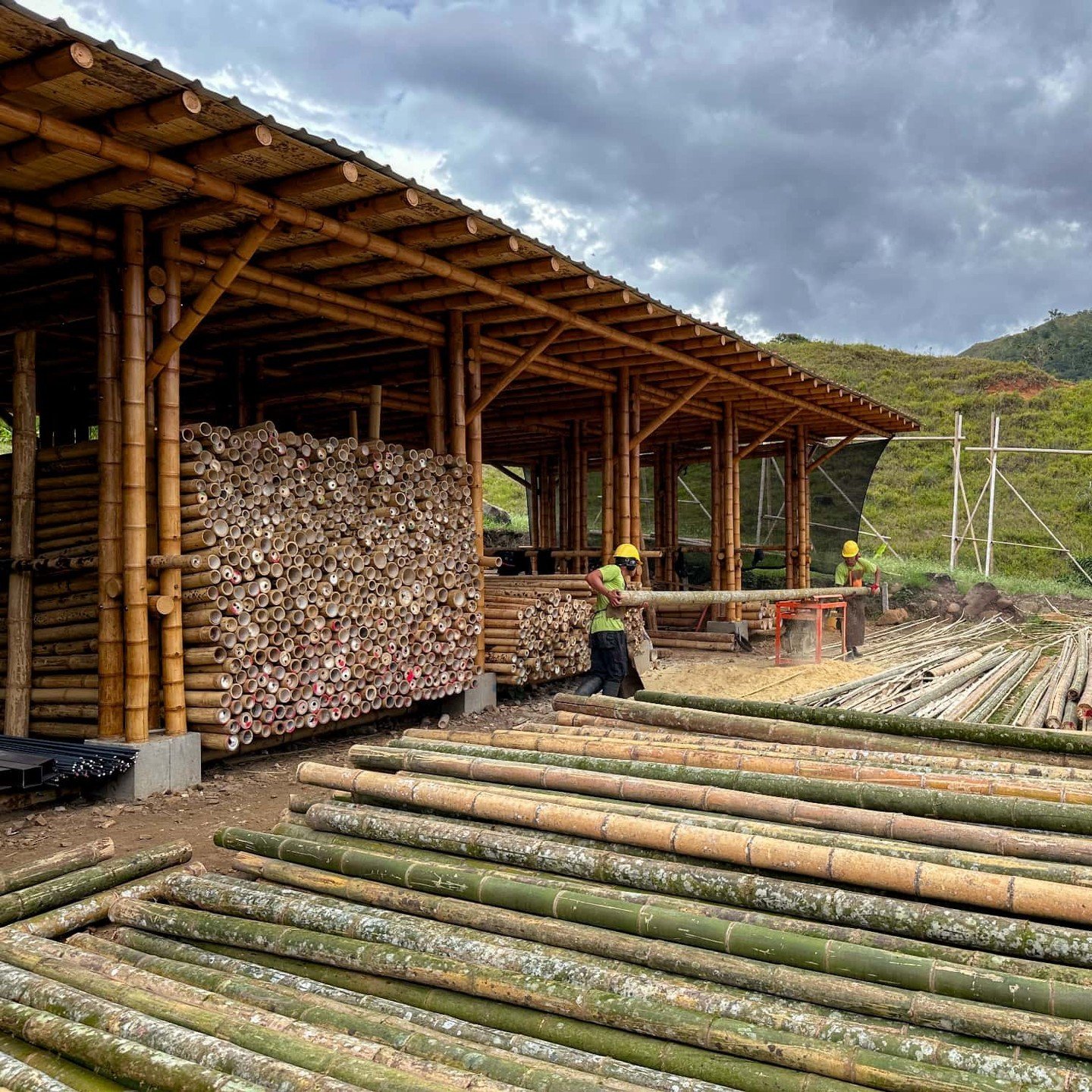 6 meter Guadua Bamboo&reg; Slat production at our factory for a very special client!