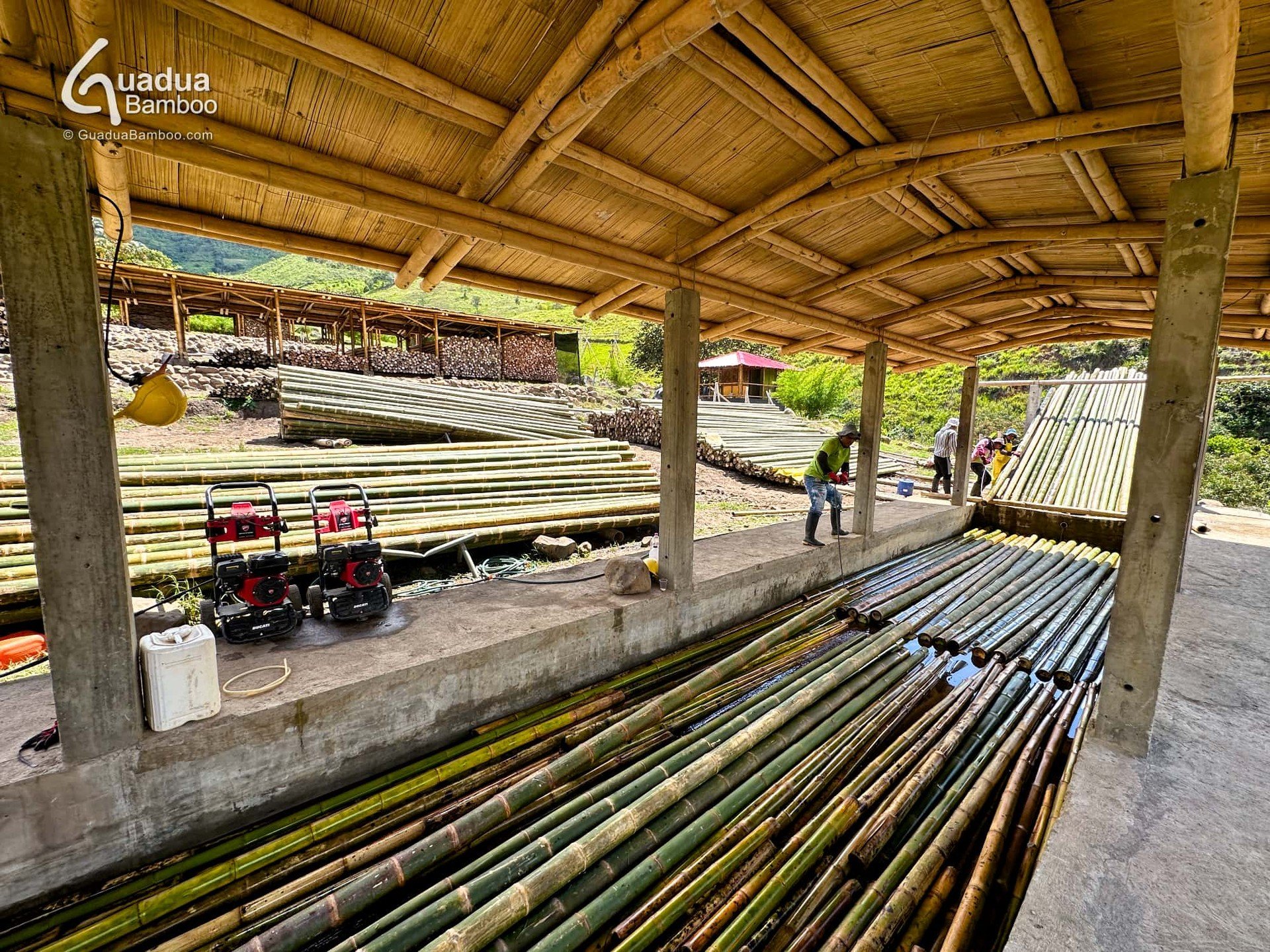 Premium quality Guadua Bamboo&reg; Poles in production.