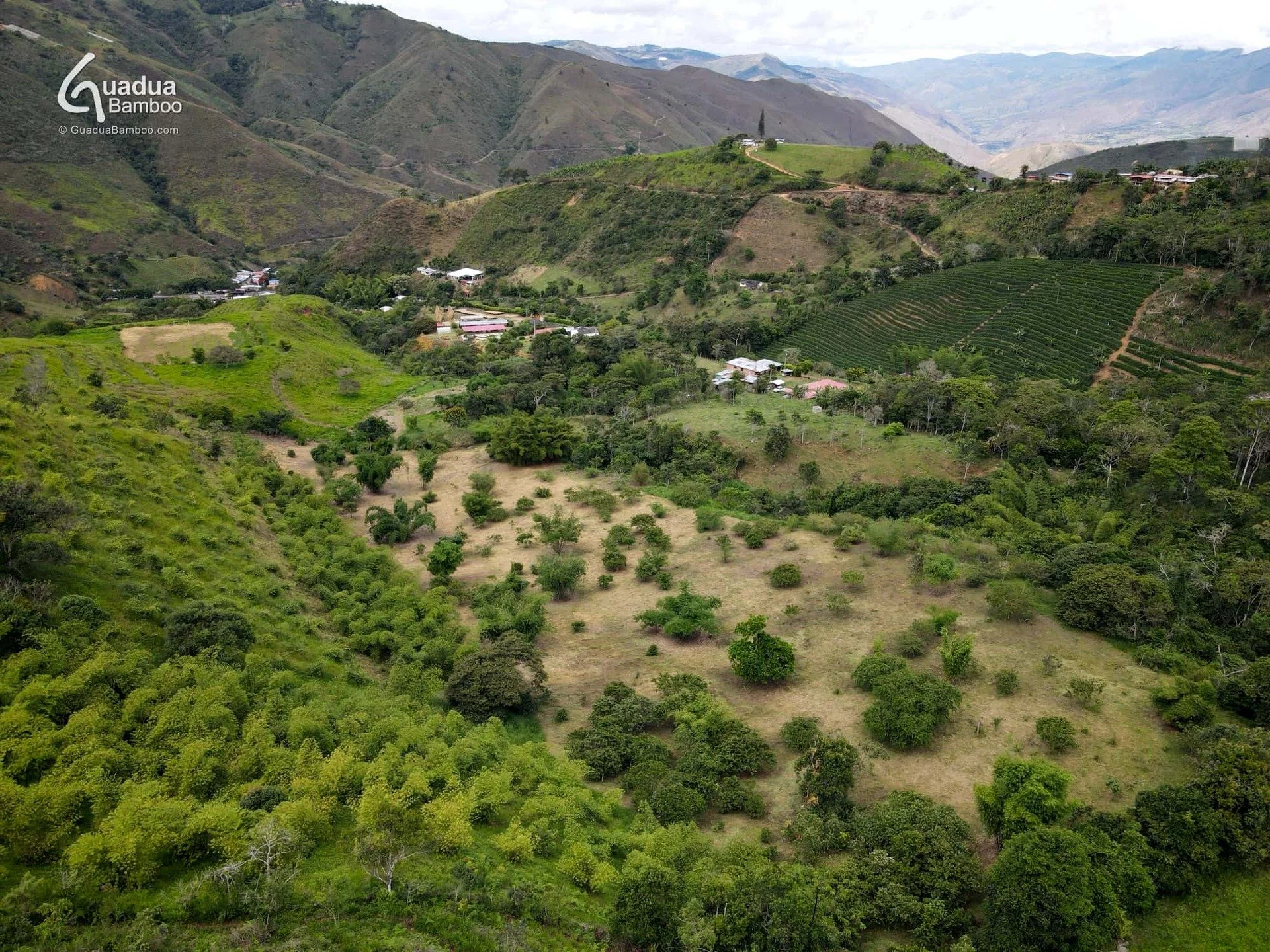 🌿 Descubre el Parque de Bamb&uacute; M&aacute;s Ex&oacute;tico de Colombia 🌿
&iquest;Sab&iacute;as que nuestro Parque de Bamb&uacute; en Hacienda Guadua Bamboo alberga m&aacute;s de 60 especies ex&oacute;ticas de bamb&uacute;, adem&aacute;s de nume