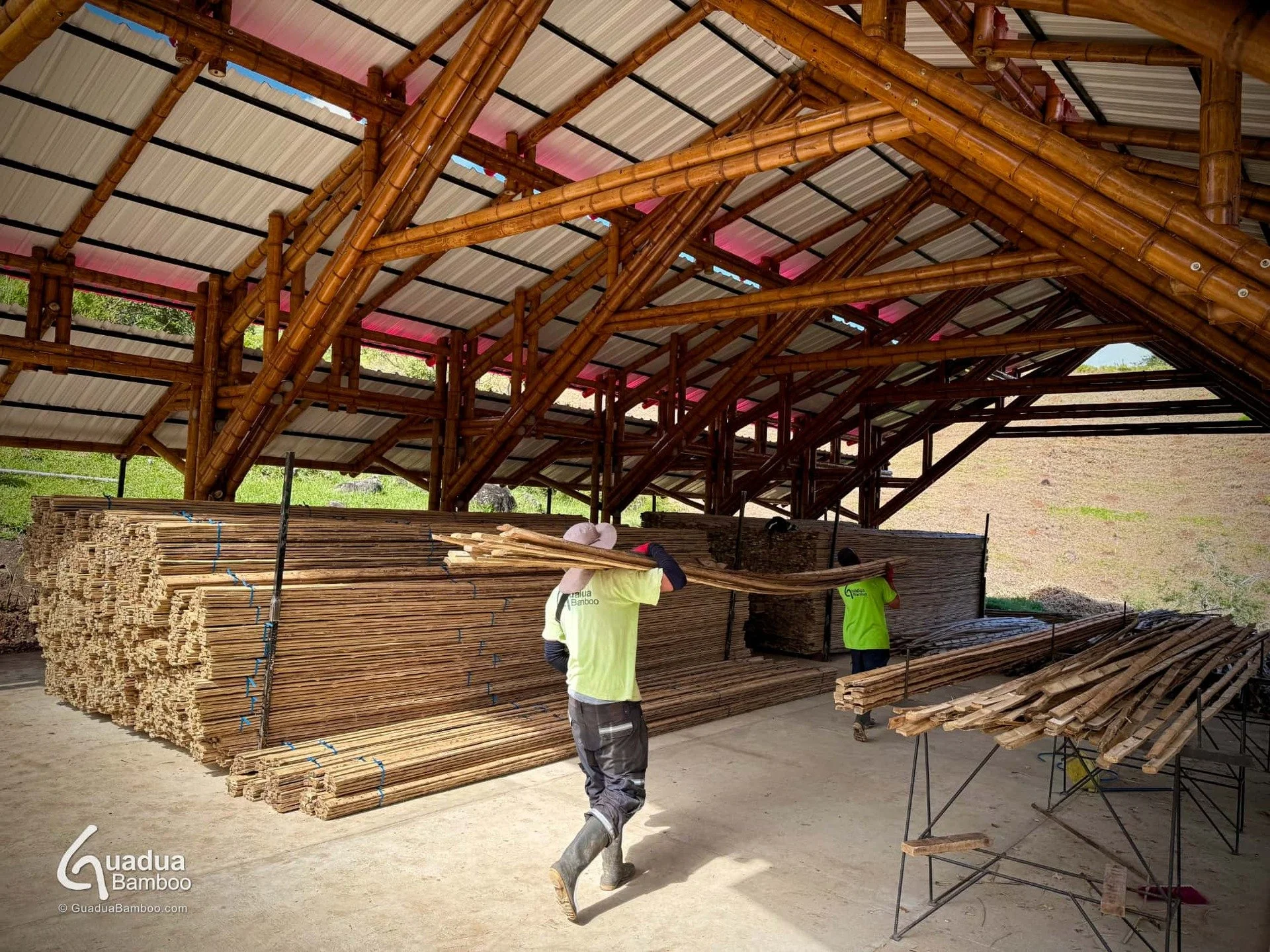 🌿 The guadua industry is thriving in the Valle del Cauca! 🇨🇴
Blending sustainability, innovation, and tradition, Guadua Bamboo S.A.S. is creating jobs, protecting the environment, and proudly exporting Colombian bamboo to the world. 🌎