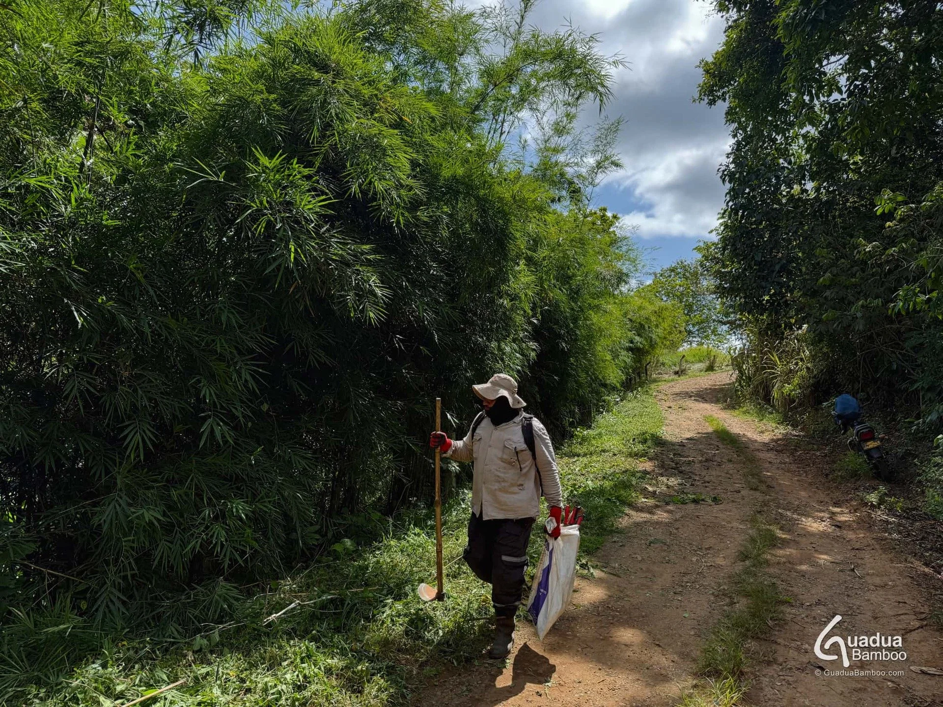 🌿 Antes y Despu&eacute;s: &iexcl;Transformaci&oacute;n de una Cerca Viva de Bamb&uacute;! 🌿
Desliza para ver c&oacute;mo nuestra Bambusa polymorpha ha crecido en solo 2 a&ntilde;os y medio &mdash; &iexcl;de peque&ntilde;as plantas a una cerca verde