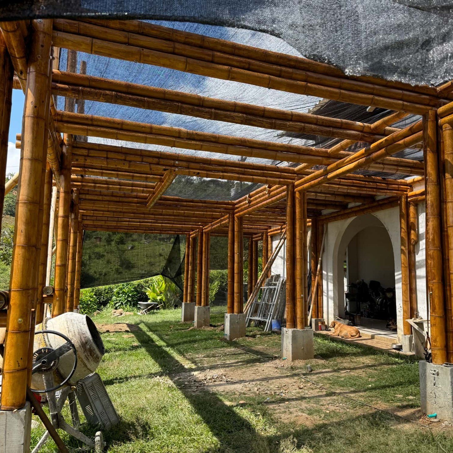 🌿 First phase of our extreme makeover is finished! 💪 Next week, we&rsquo;ll be producing Guadua Bamboo&reg; Slat Beams that will serve as the support for our flooring boards.
Stay tuned!