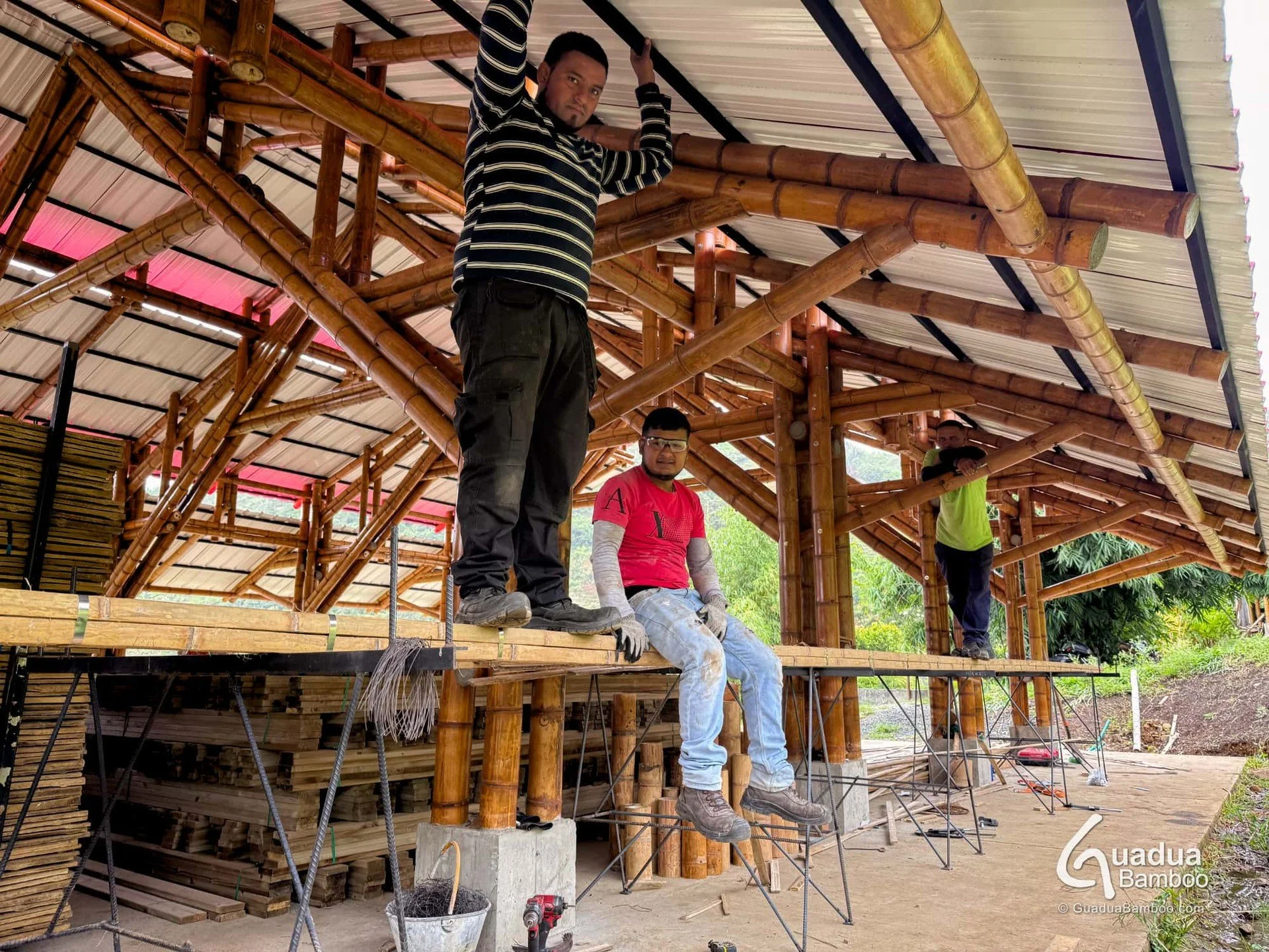 🌿And this is why Guadua is called vegetal steel! 💪
We are currently producing 17-meter Guadua Bamboo&reg; Slat Beams for a custom project &mdash; extremely strong, resilient, and fabricated without the use of glue.