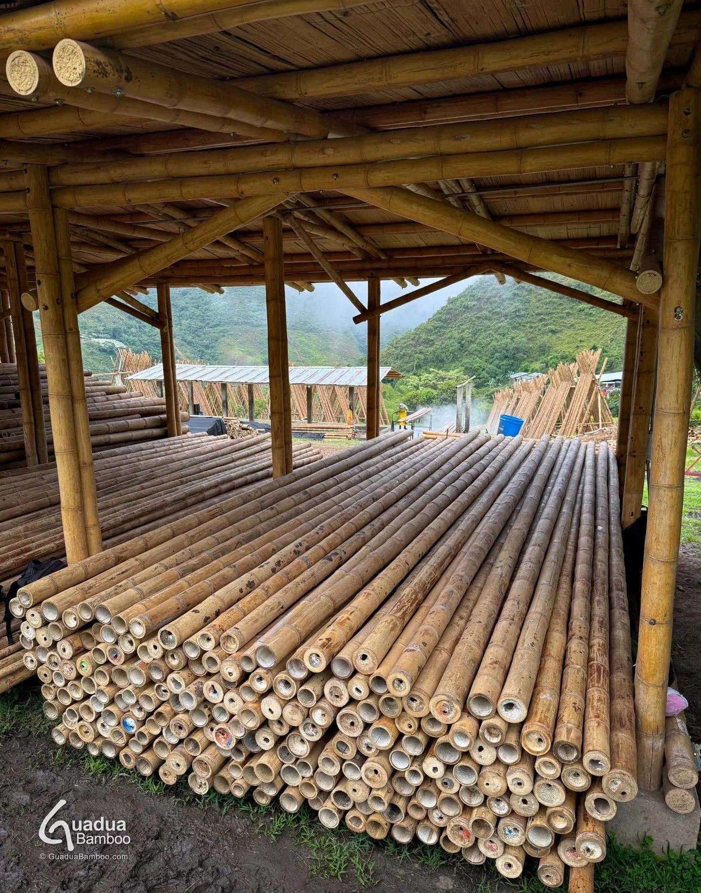 🎋 Inventario permanente, orden y eficiencia desde el origen

Siempre almacenamos nuestra guadua inmunizada por di&aacute;metro y longitud para mantener un inventario organizado y bien controlado. Esto nos permite atender de forma m&aacute;s r&aacute