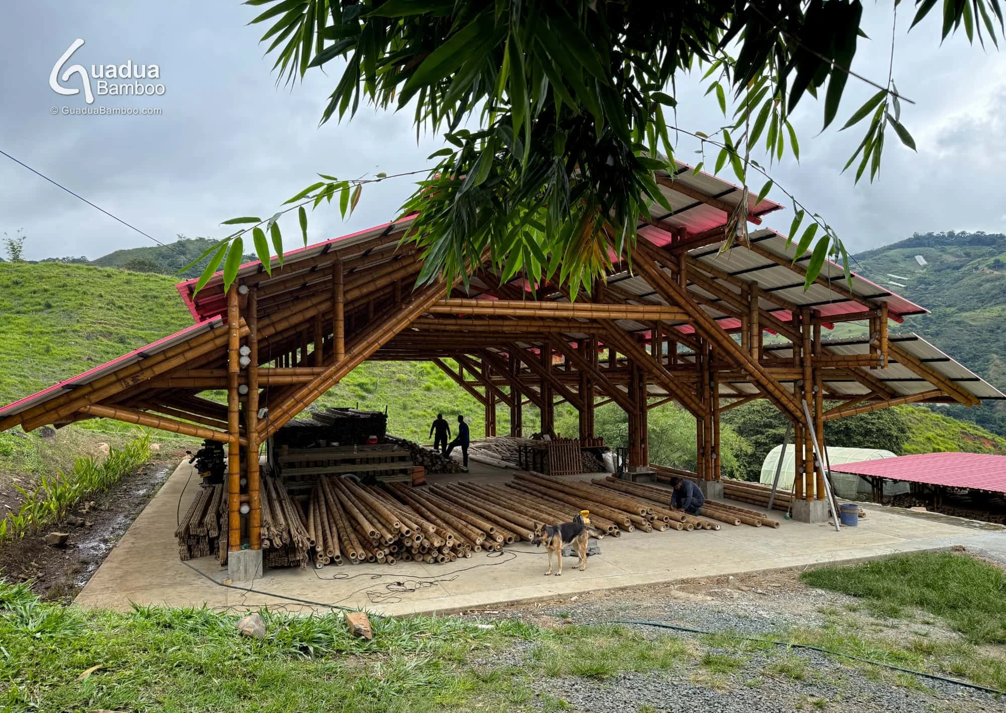 🚧🌱 &iexcl;Nuevo proyecto en marcha para Cali!

Hoy iniciamos un nuevo proyecto: la construcci&oacute;n de una estructura cubierta en guadua para un colegio en Cali, un espacio pensado para que los estudiantes puedan sentarse, reunirse y disfrutar d