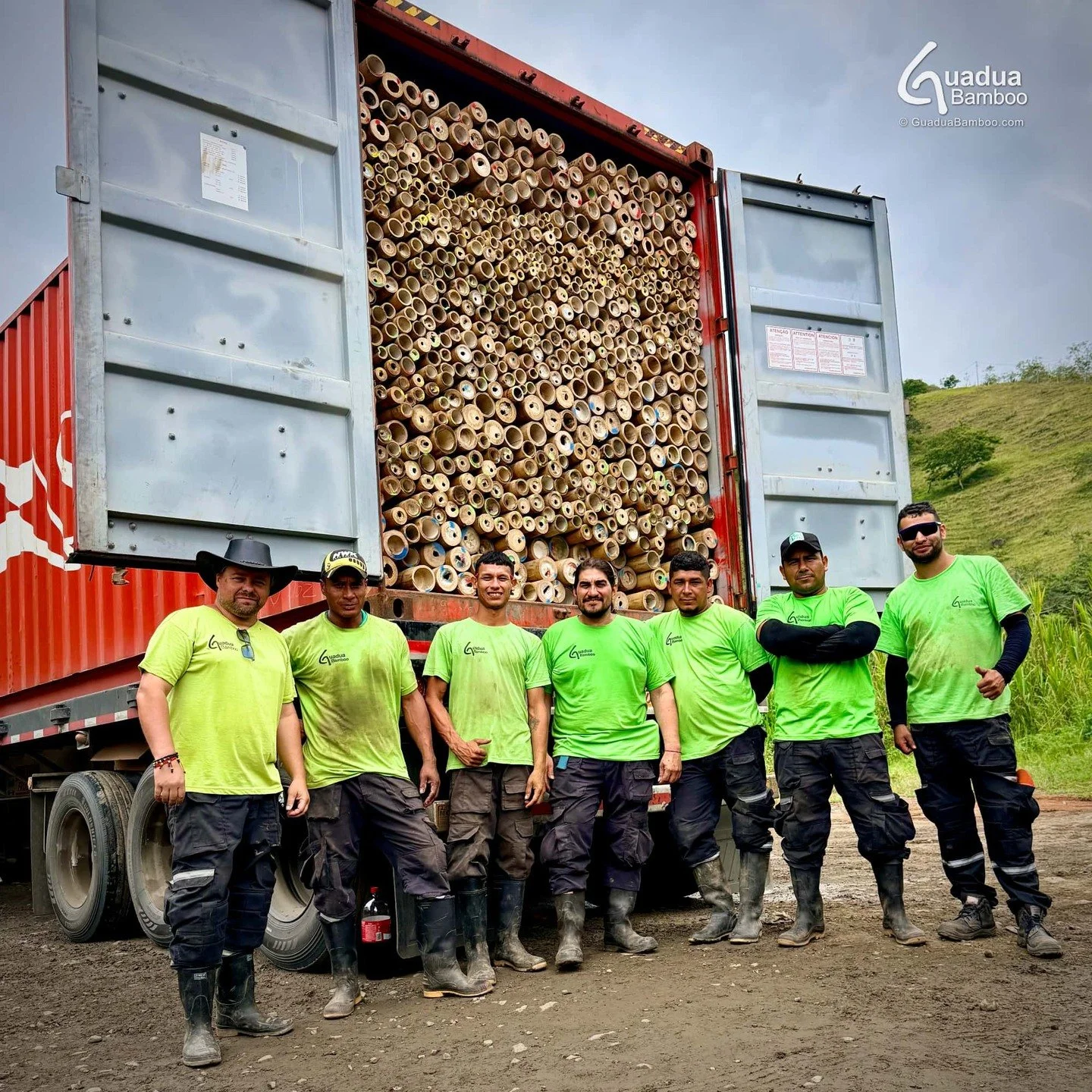 Nuestra Guadua de camino a Europa.