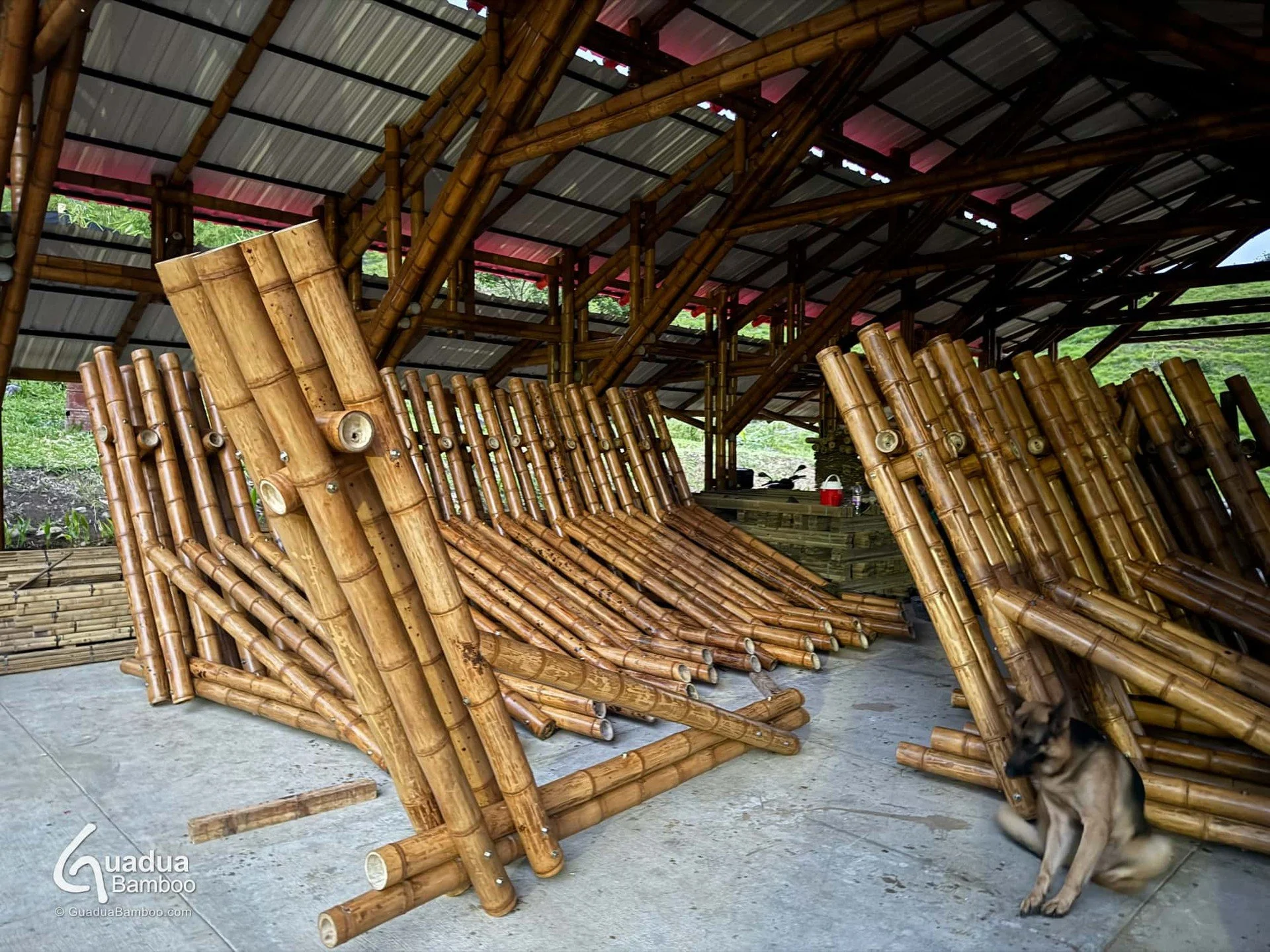 En solo 10 d&iacute;as prefabricamos este Corredor Cubierto en Guadua para un colegio en Cali. 🏫🙌 Directo desde nuestra taller en Dagua, Valle del Cauca.

🛠️ &iquest;Lo mejor? Ya estamos listos para el siguiente paso: &iexcl;la instalaci&oacute;n 