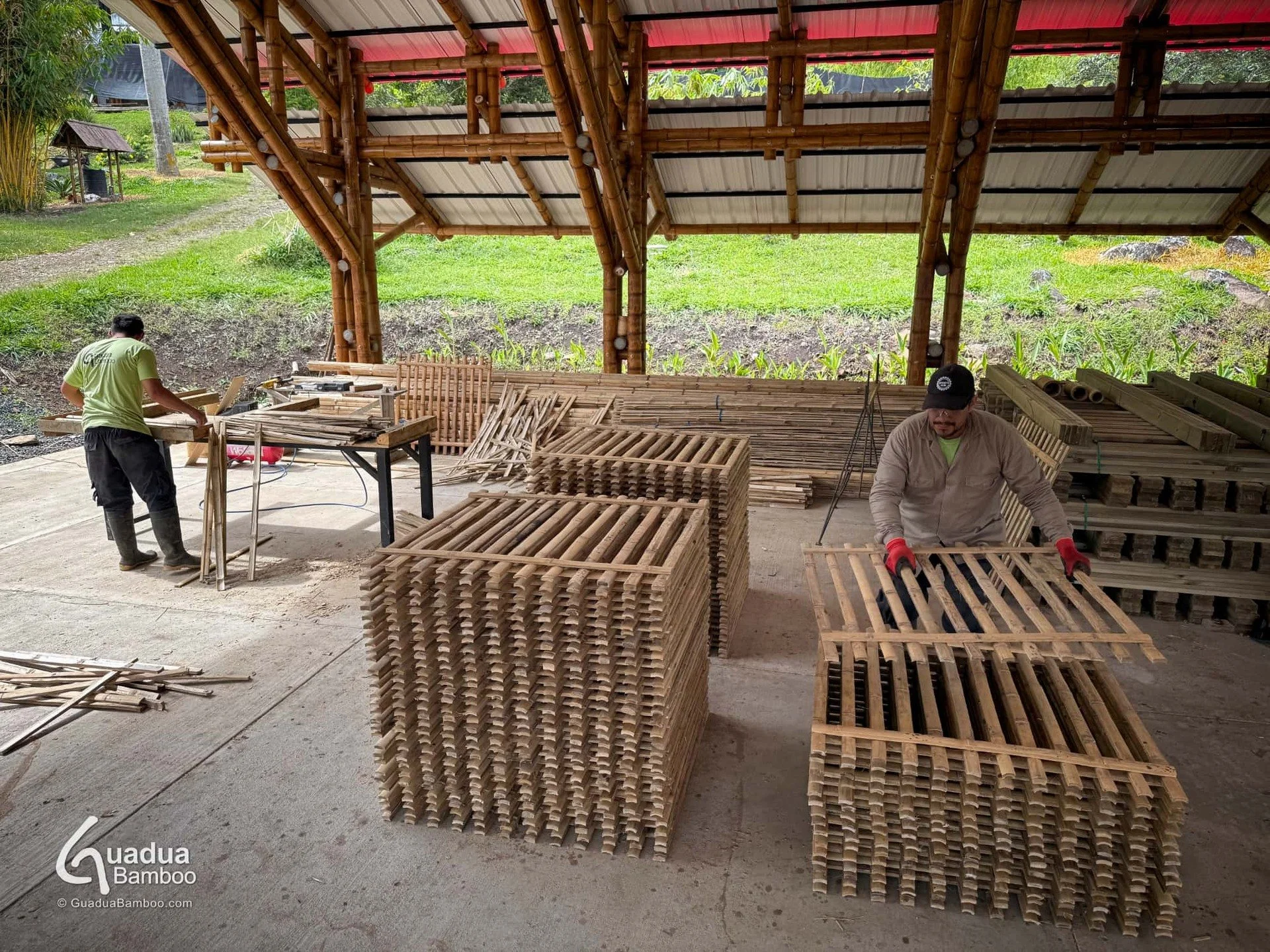 🇨🇴 Nuestras vallas son un &eacute;xito total en proyectos de cercado en todo el pa&iacute;s. Estamos en plena producci&oacute;n de estas vallas en latas de Guadua, fabricadas con toda la dedicaci&oacute;n para un proyecto en Montenegro, Quind&iacut