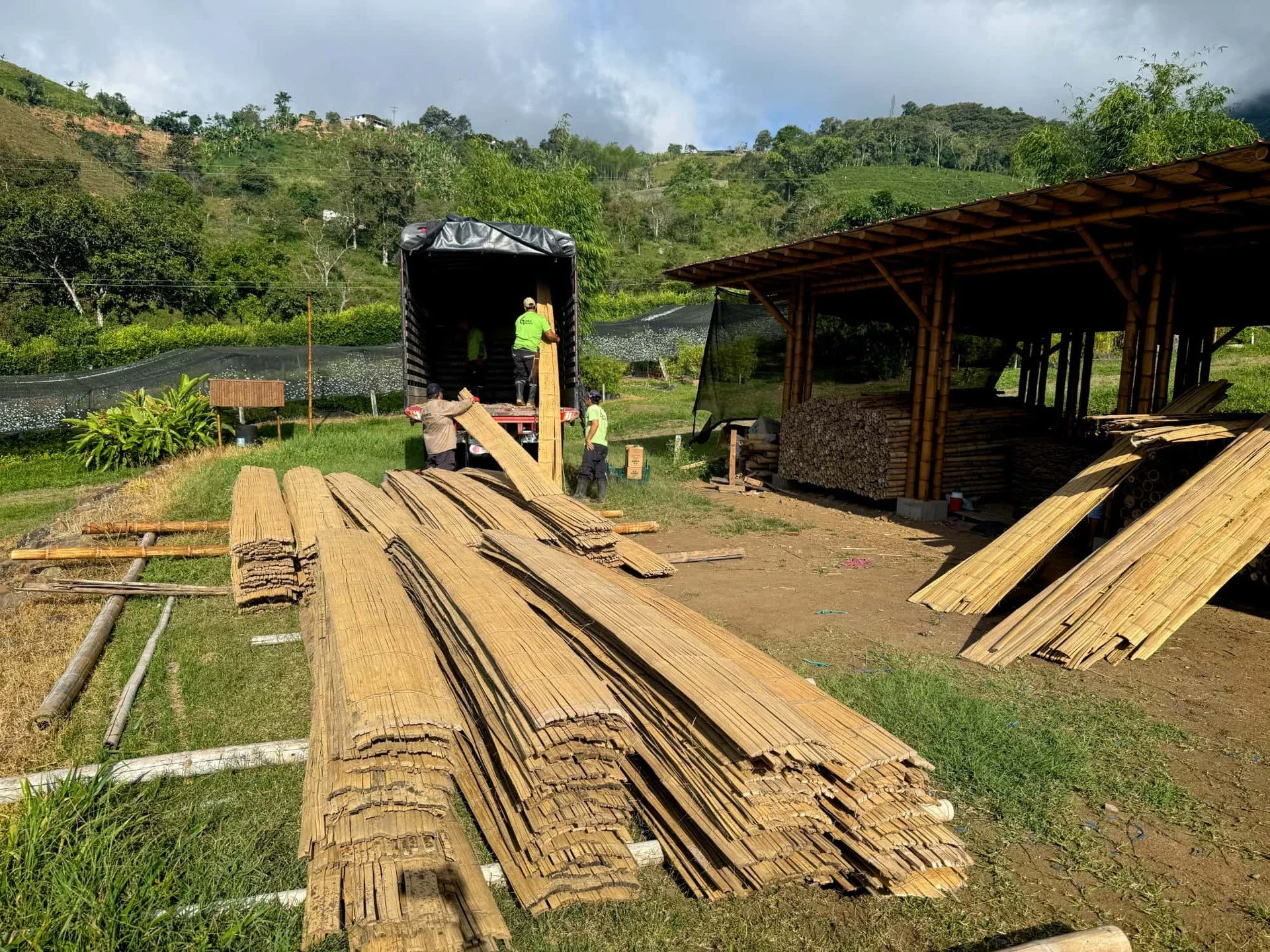 Desde Guadua Bamboo SAS, en el Valle del Cauca, despachamos las esterillas m&aacute;s hermosas de Colombia 🇨🇴✨, siempre garantizando la mejor calidad: seleccionadas, inmunizadas y completamente limpias.
Hoy, 350 esterillas van en camino hacia Villa