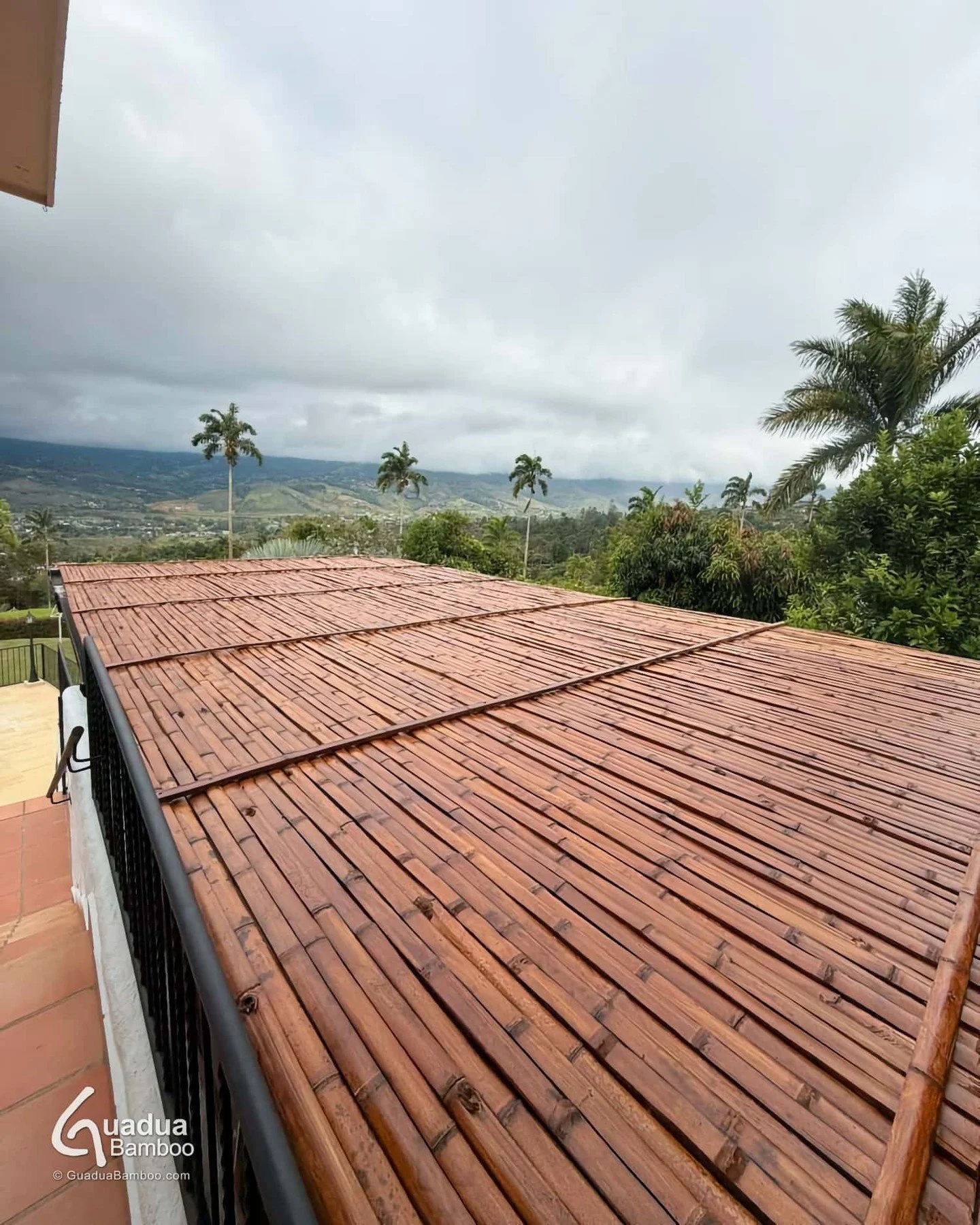🌿 Transformamos espacios con estilo natural 🌿
Mira este espectacular techo de p&eacute;rgola en Dagua, construido con nuestras Latas de Guadua: elegancia, resistencia y un acabado &uacute;nico que resalta cualquier ambiente. ☔️✨ Perfecto para disfr