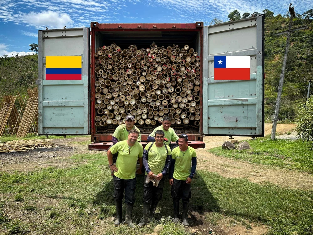 Premium Guadua Bamboo® Exported to Chile